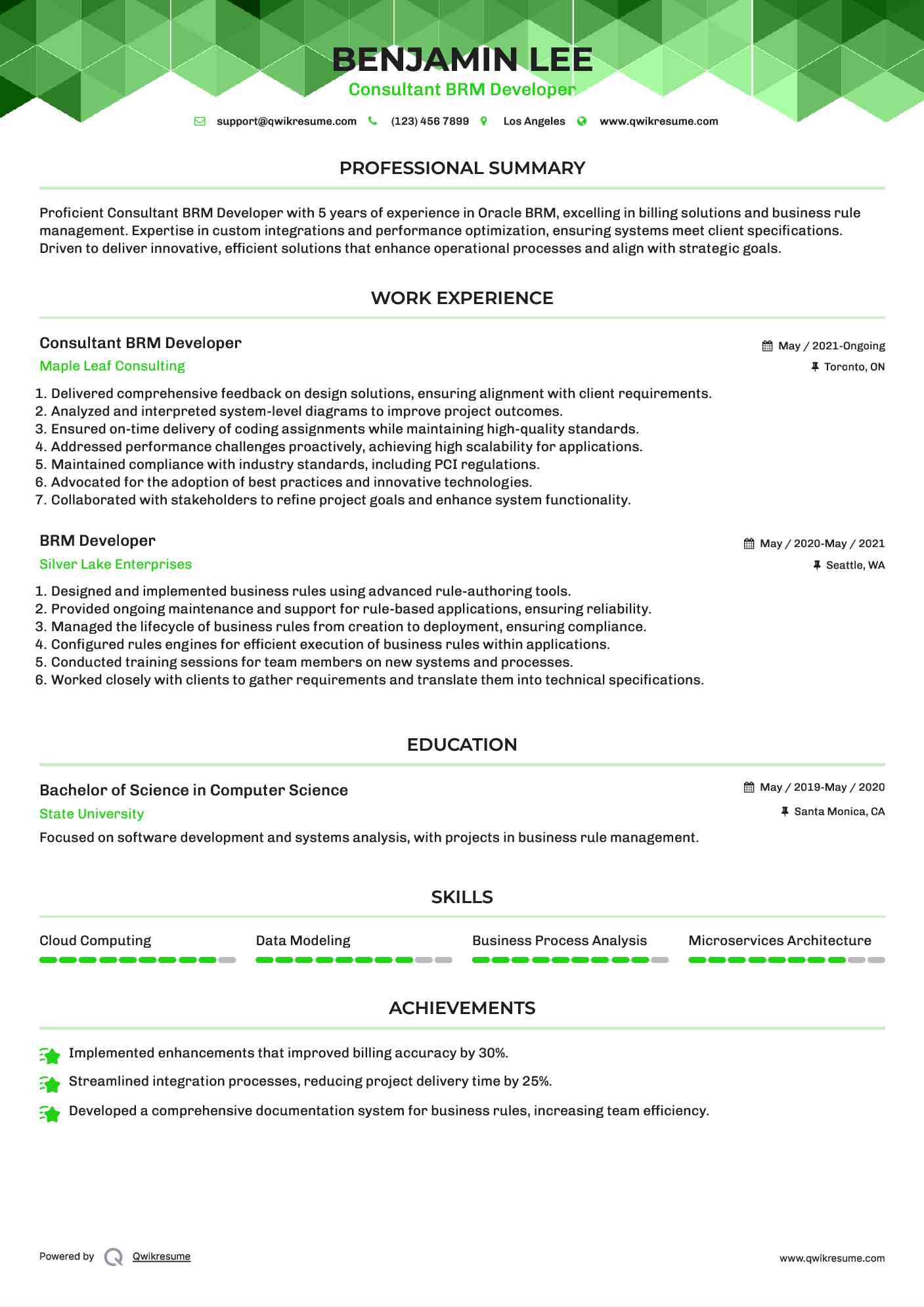 Consultant BRM Developer Resume Format