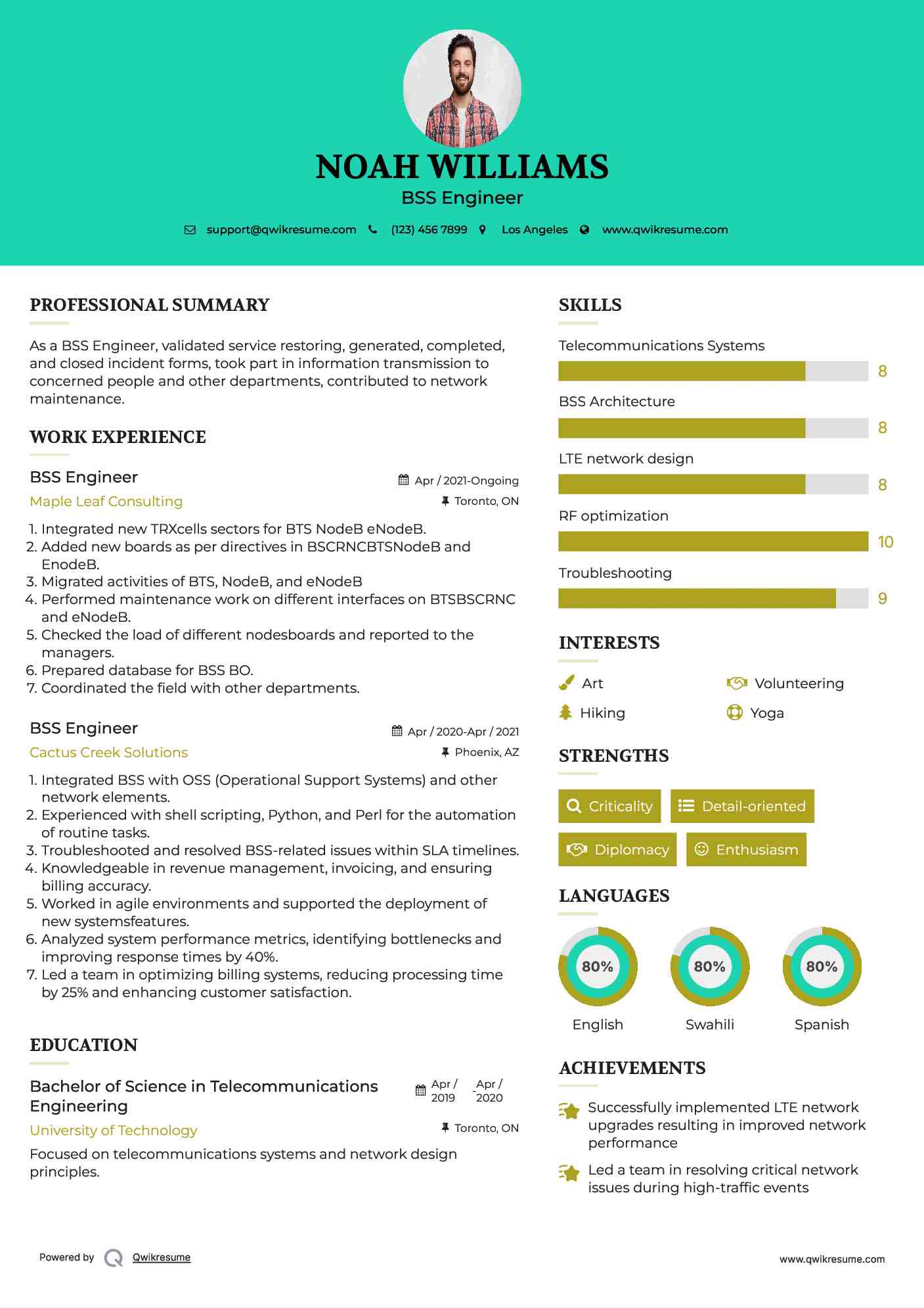 BSS Engineer Resume Example