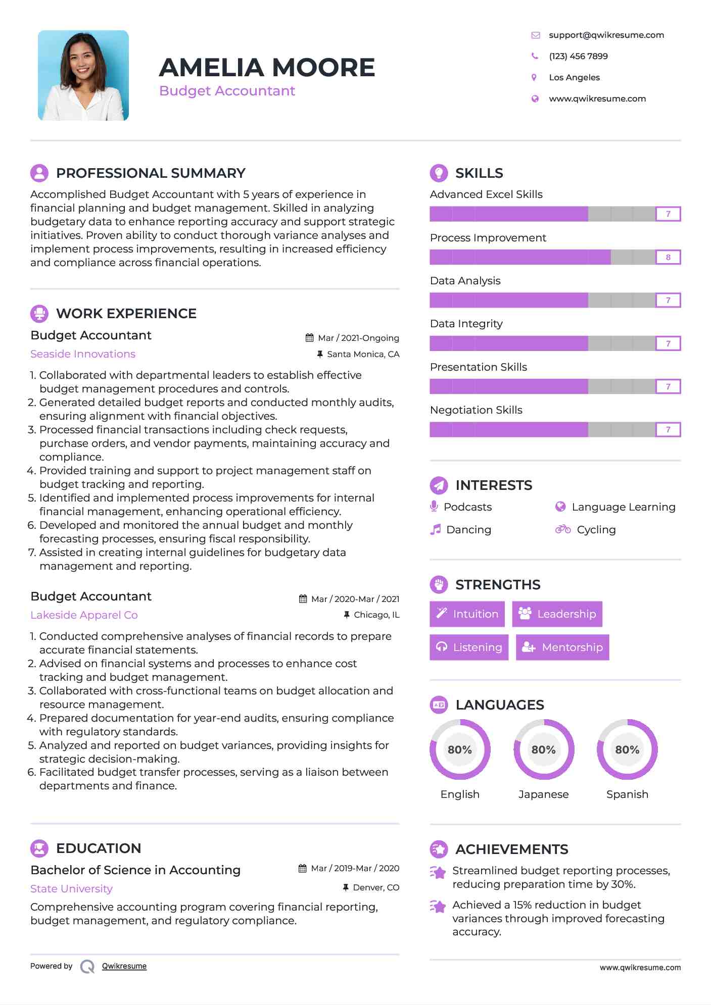 Budget Accountant Resume Model