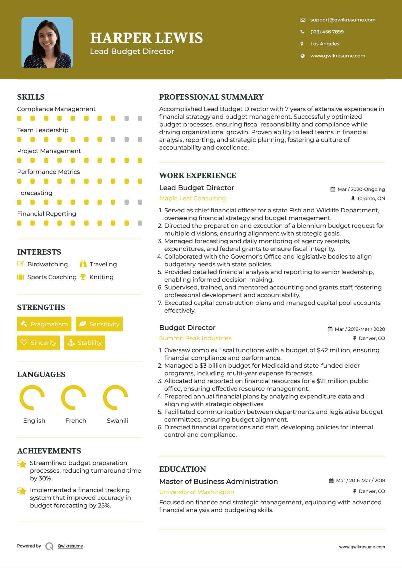 Lead Budget Director Resume Sample