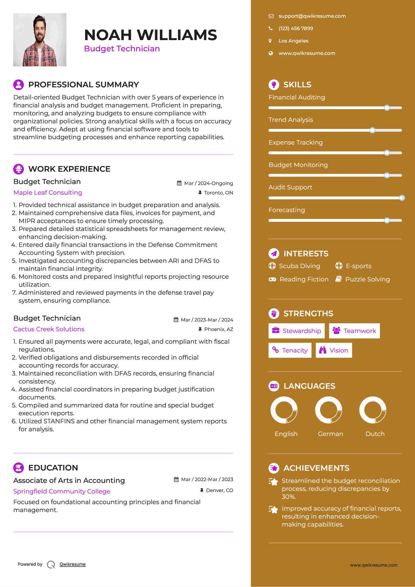 Budget Technician Resume Example