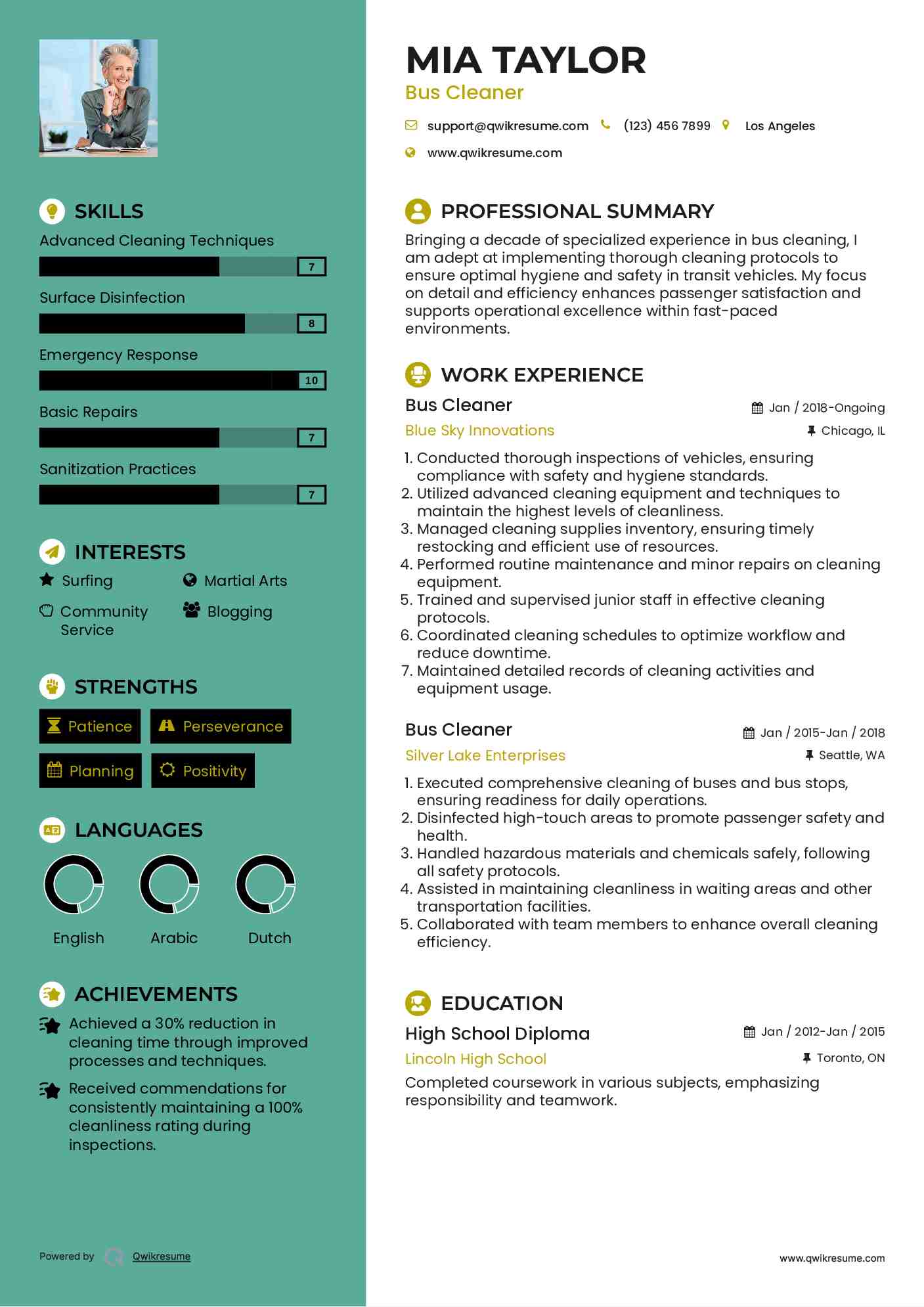 Bus Cleaner Resume Template