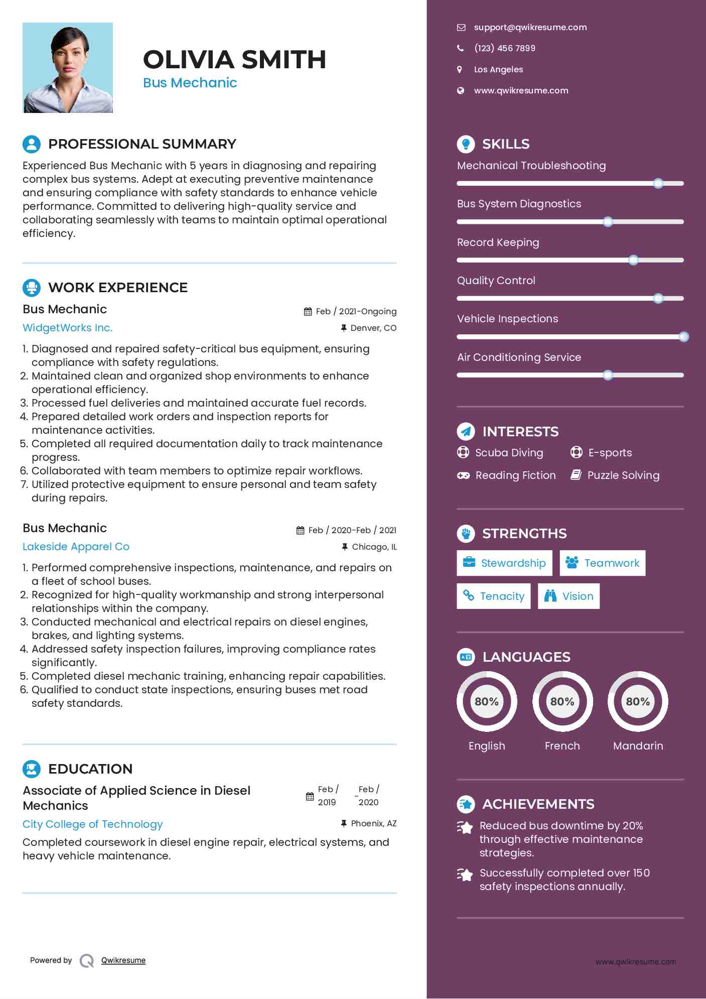 Bus Mechanic Resume Template