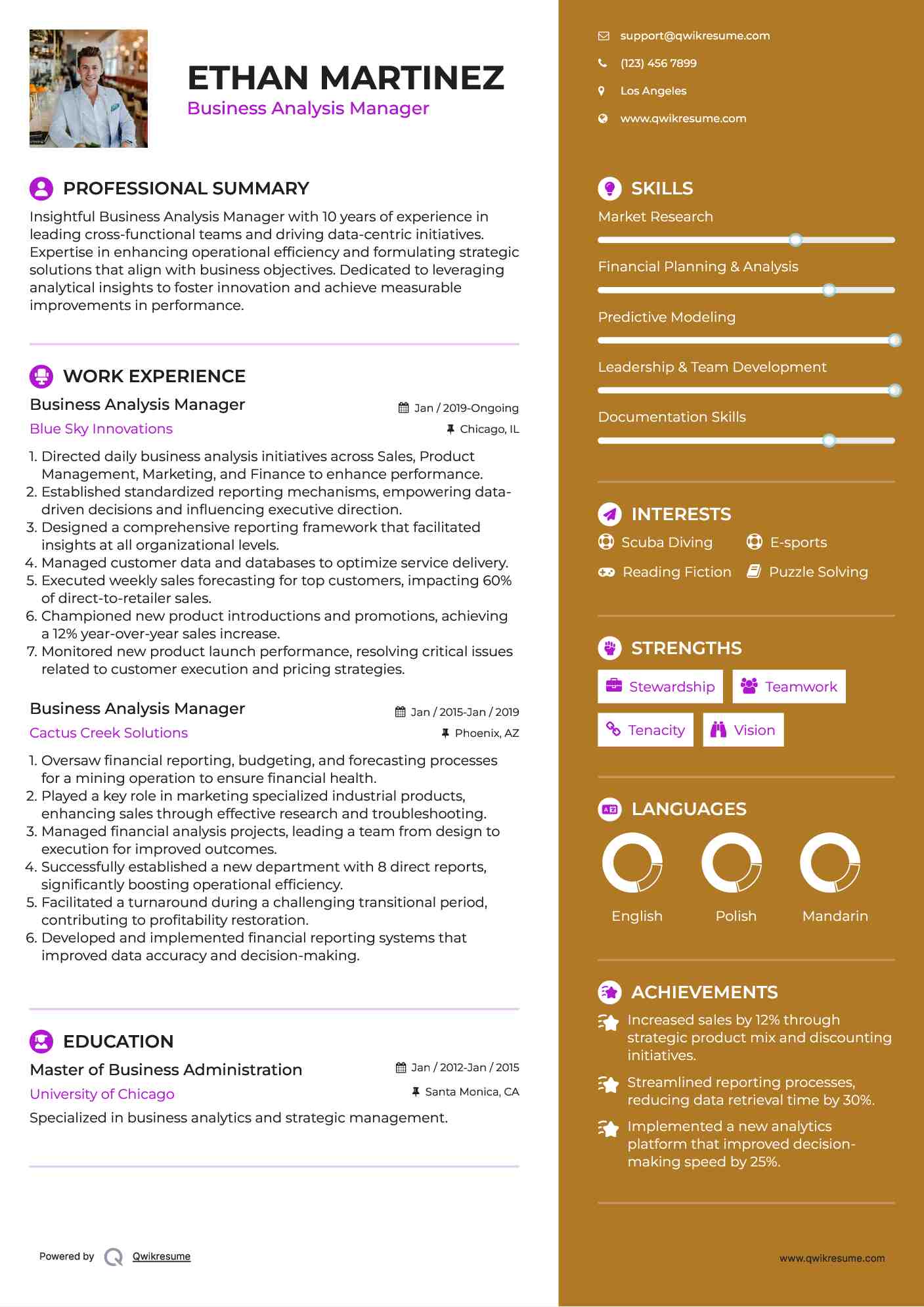 Business Analysis Manager Resume Model