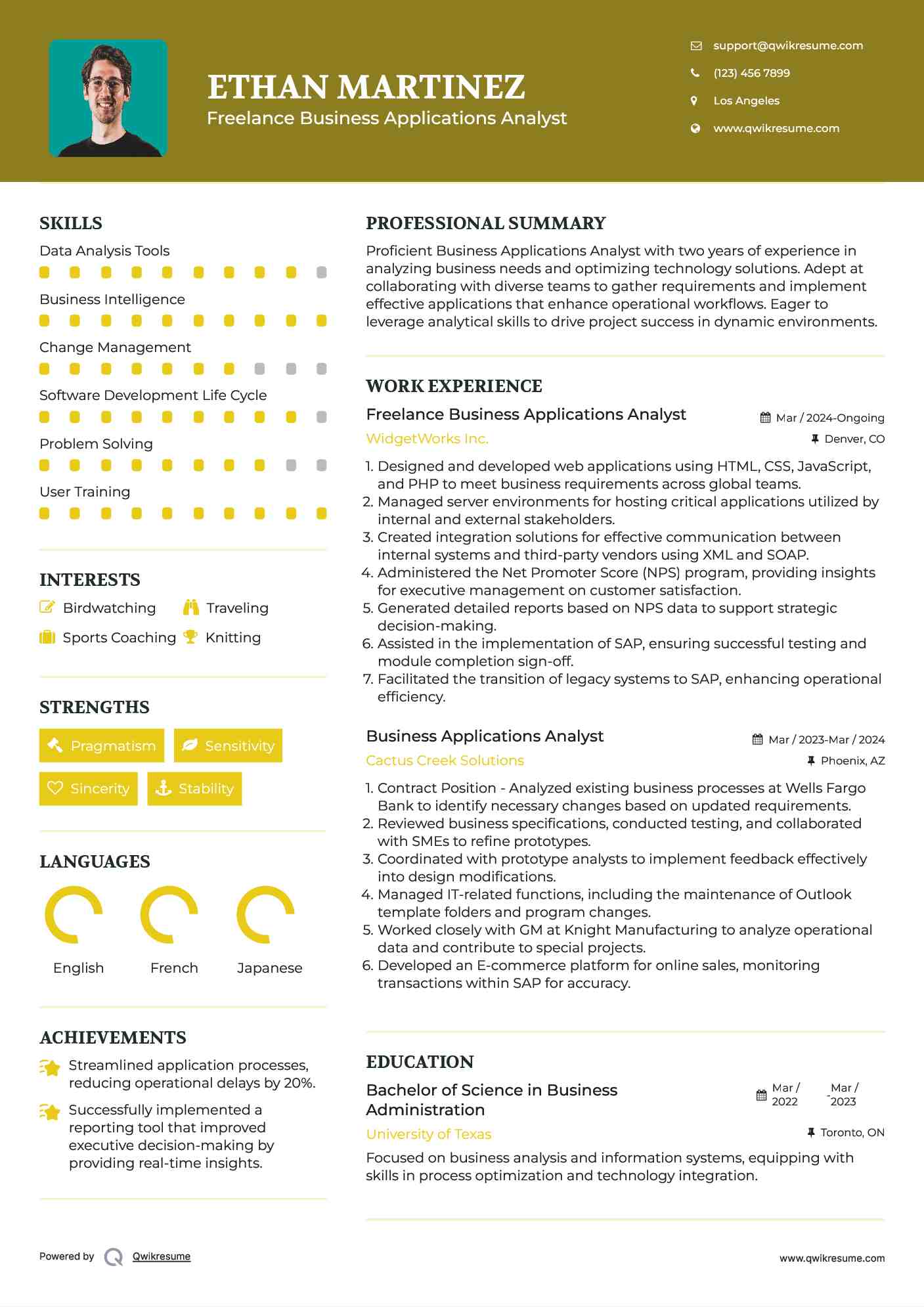 Freelance Business Applications Analyst Resume Example