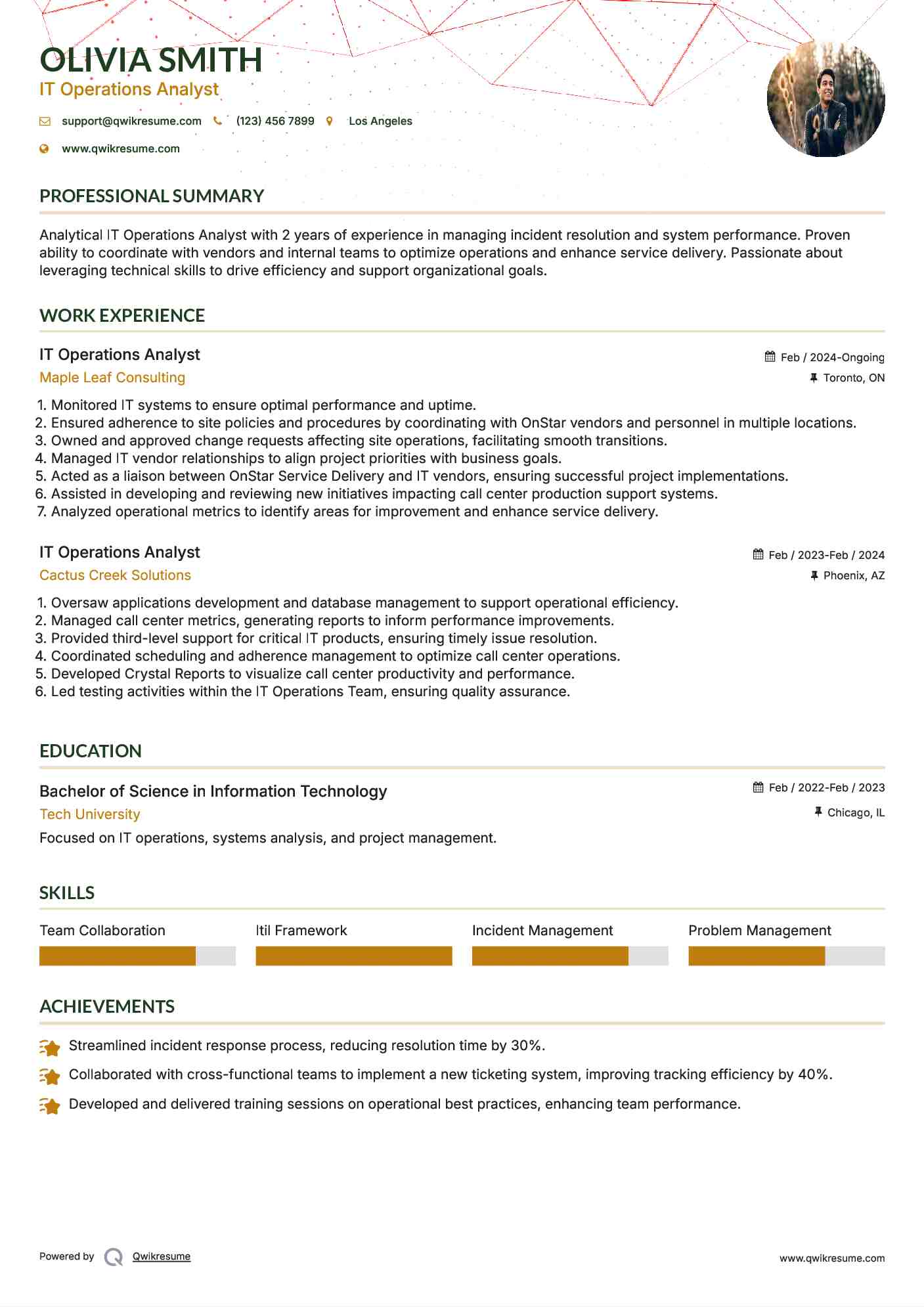 IT Operations Analyst Resume Sample