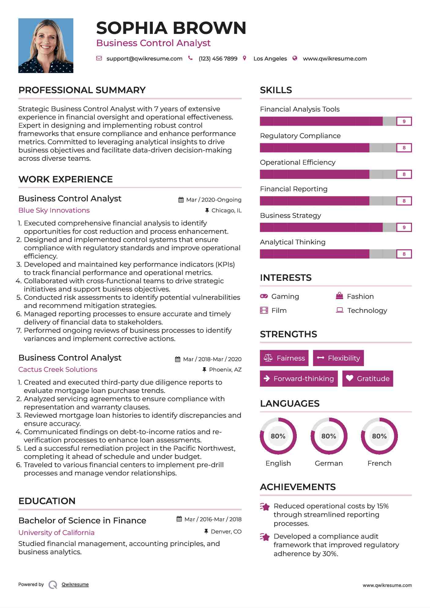 Business Control Analyst Resume Example