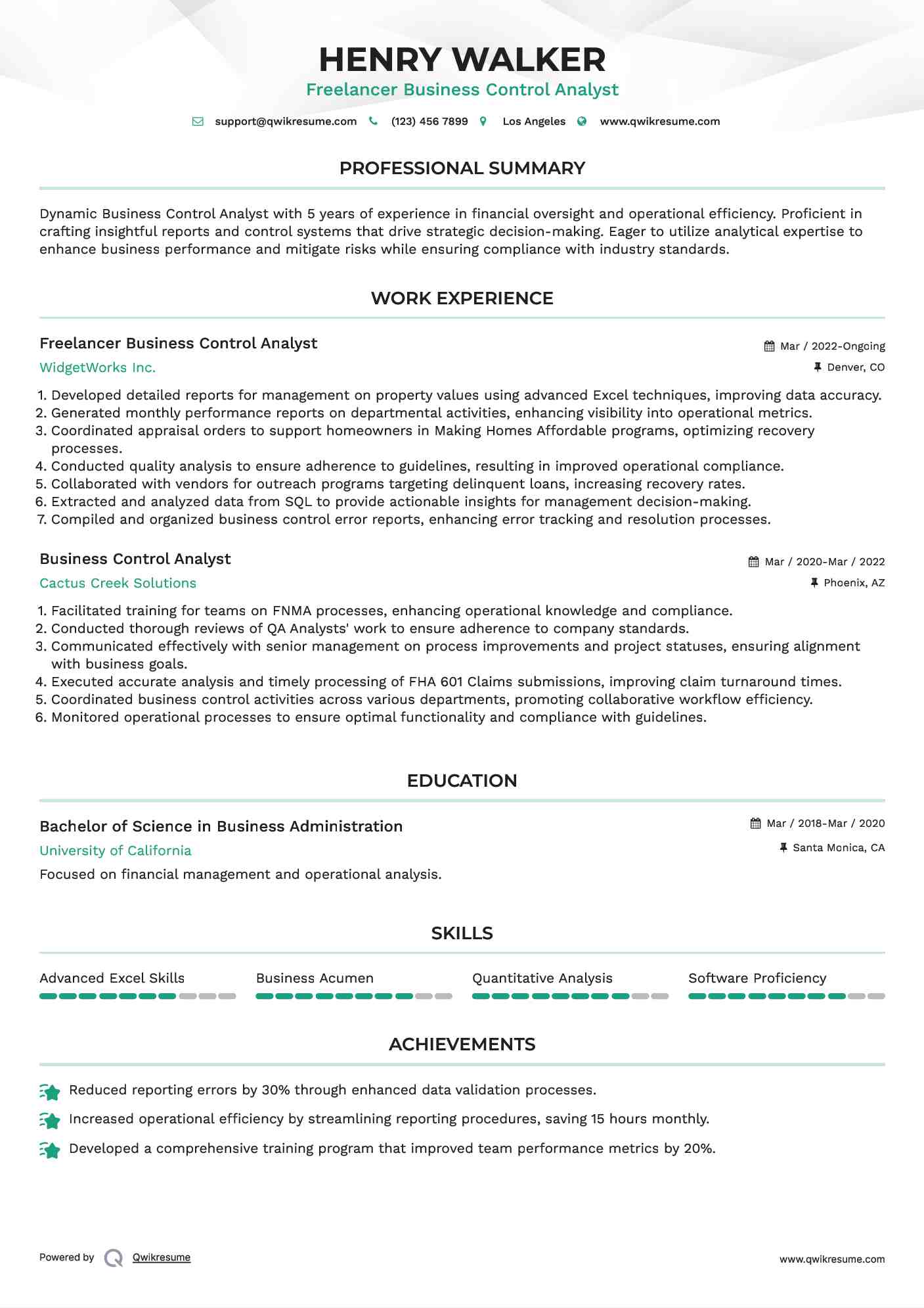 Freelancer Business Control Analyst  Resume Template