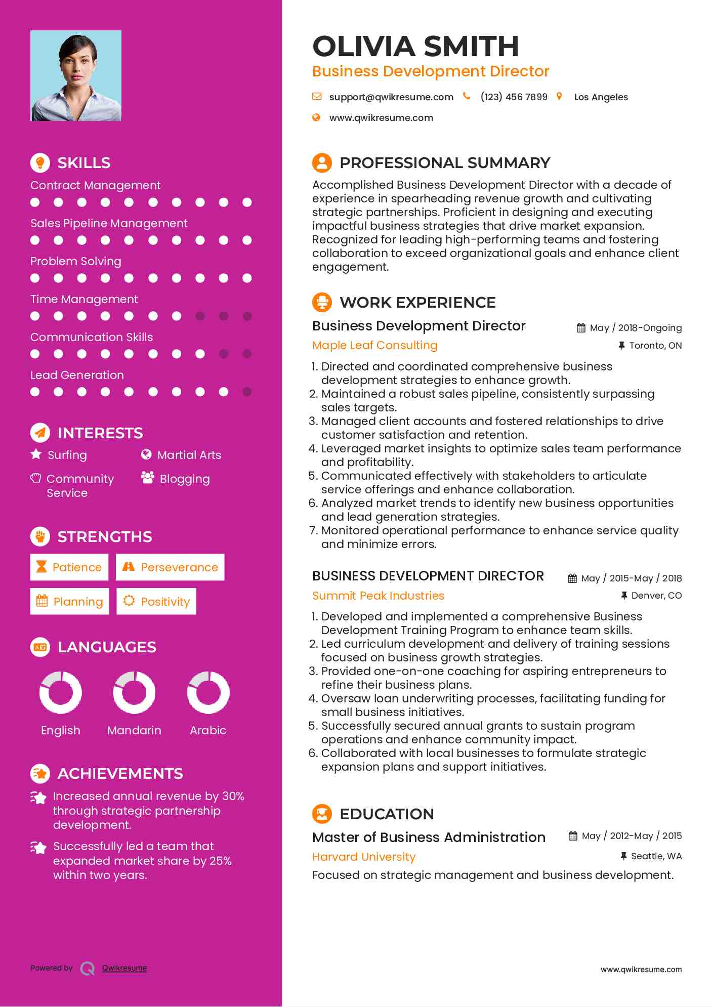 Business Development Director Resume Format