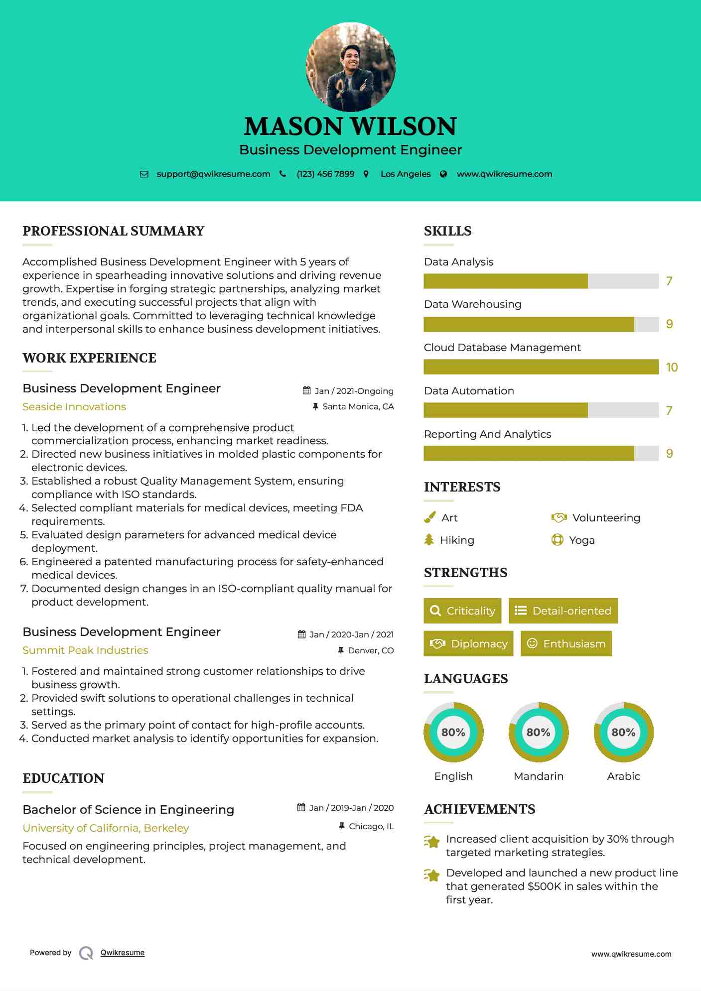 Business Development Engineer Resume Template