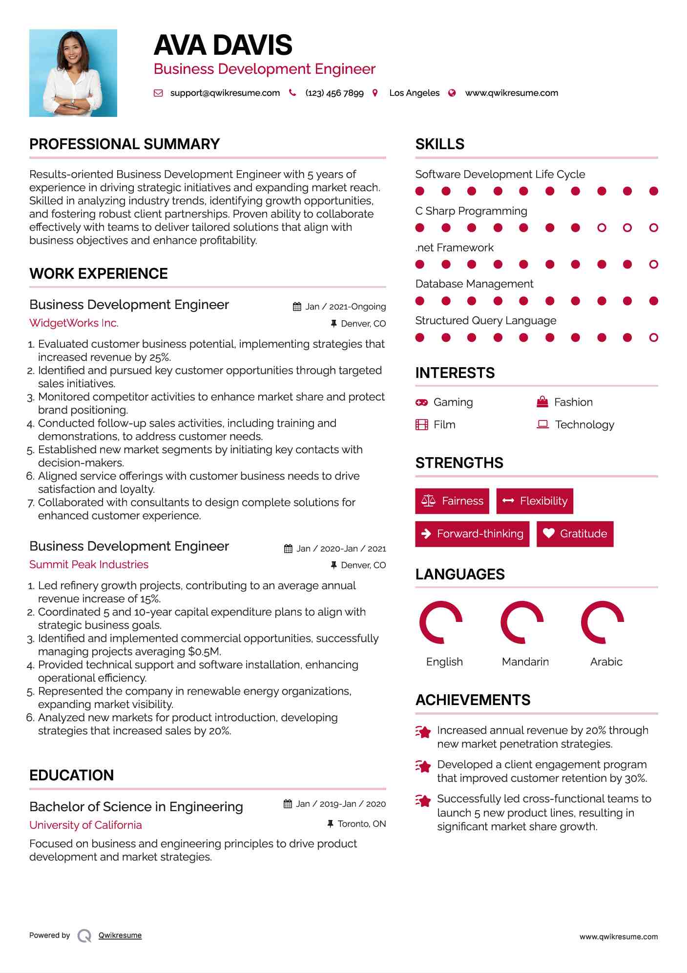 Business Development Engineer Resume Model