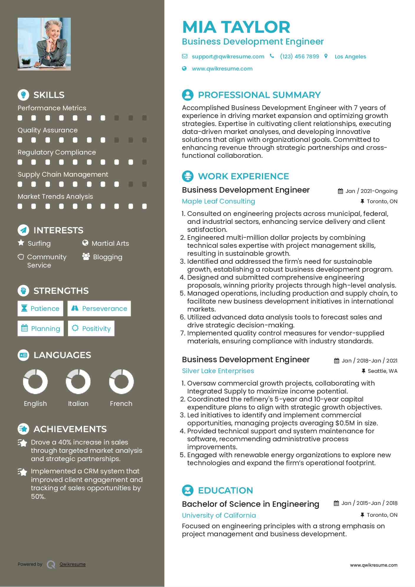 Business Development Engineer Resume Model