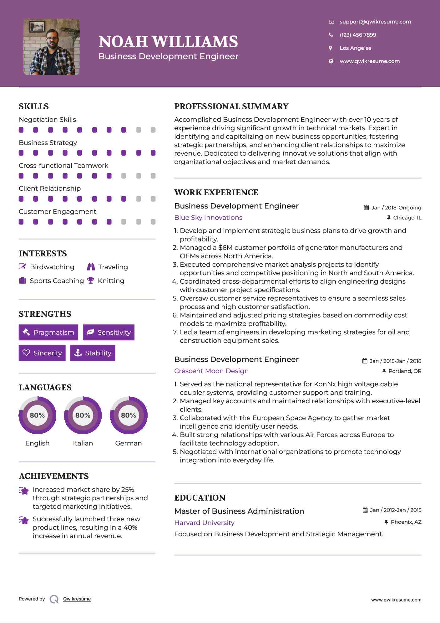 Business Development Engineer Resume Template