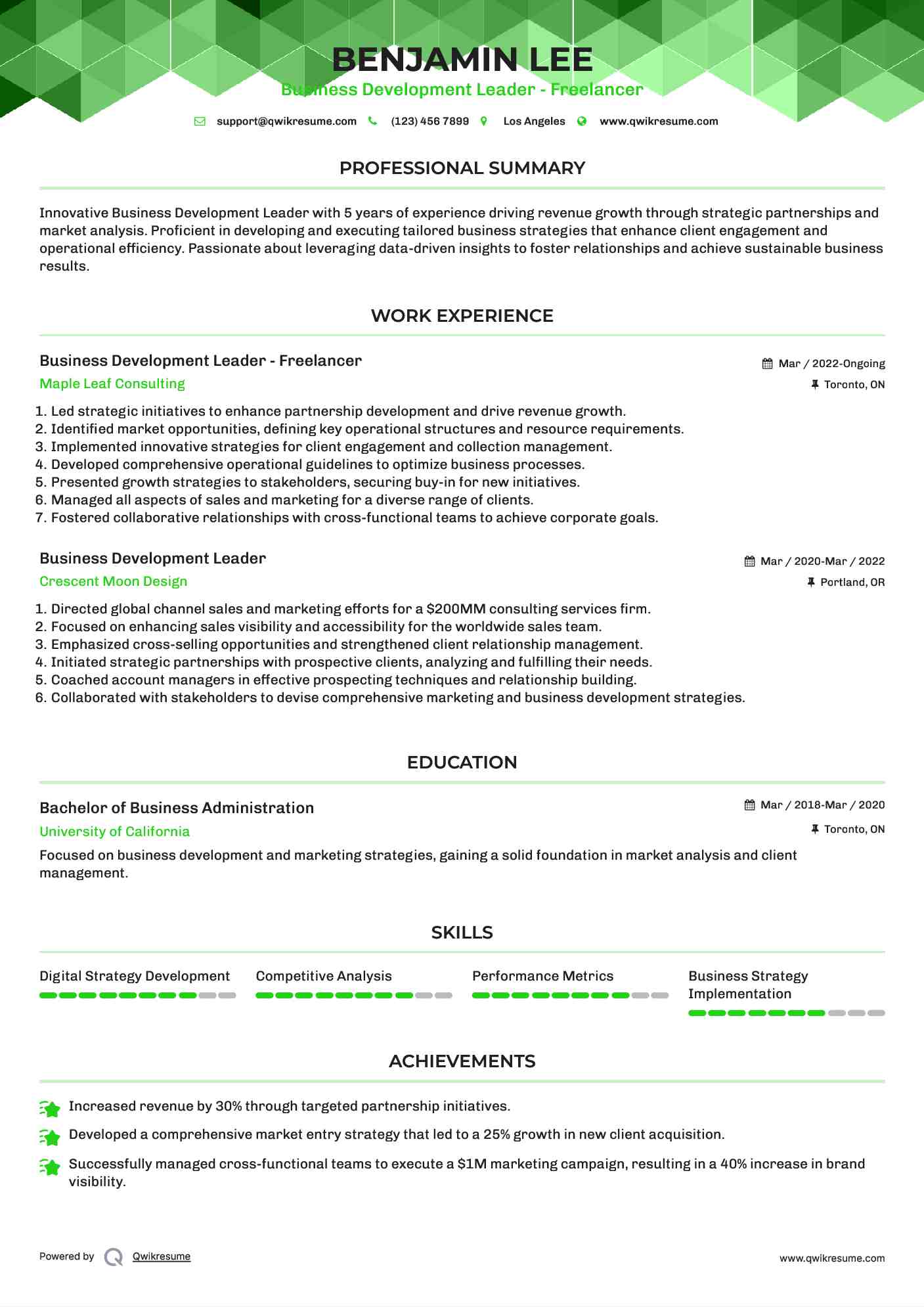 Business Development Leader - Freelancer Resume Template