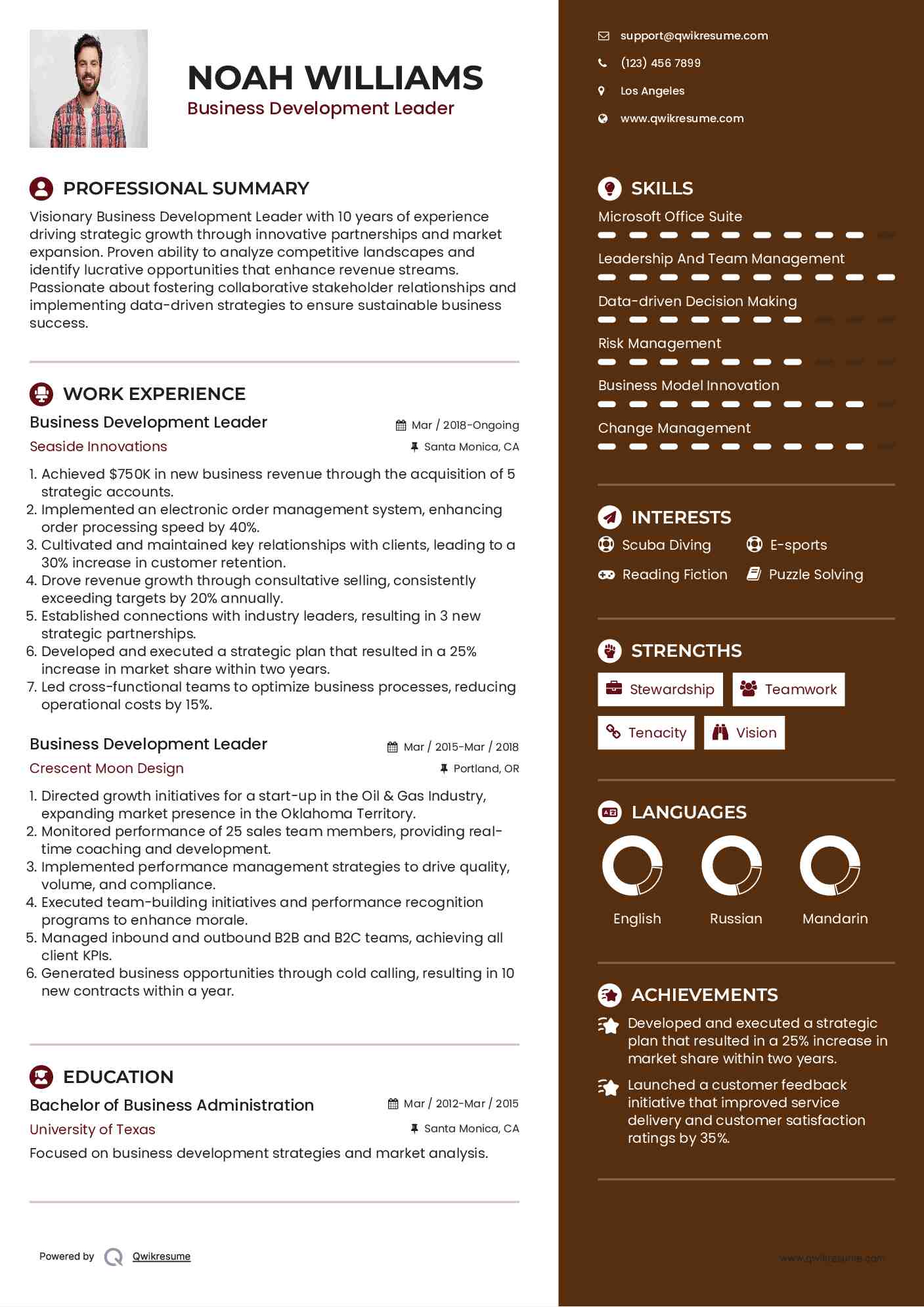 Business Development Leader Resume Example