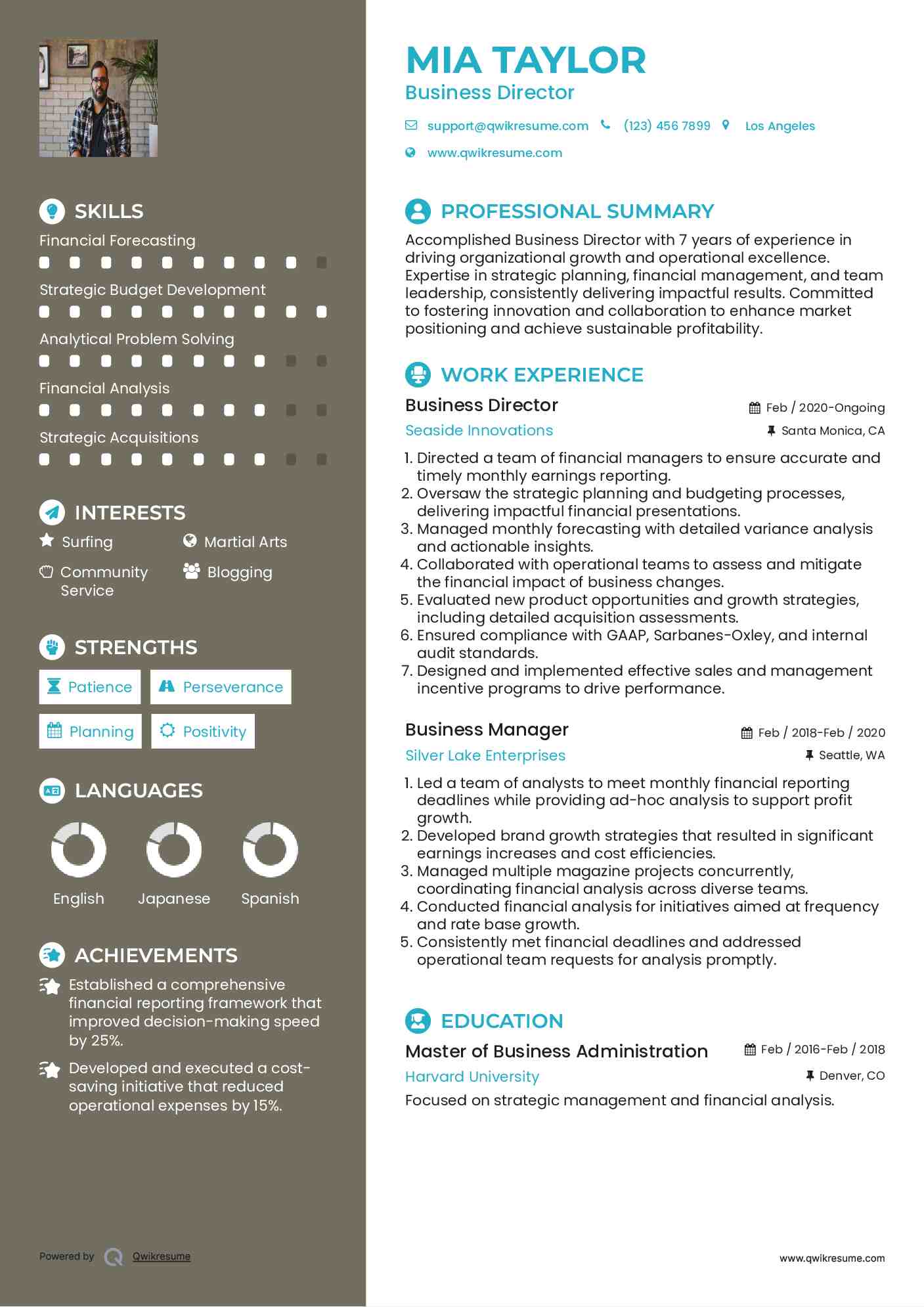 Business Director Resume Model