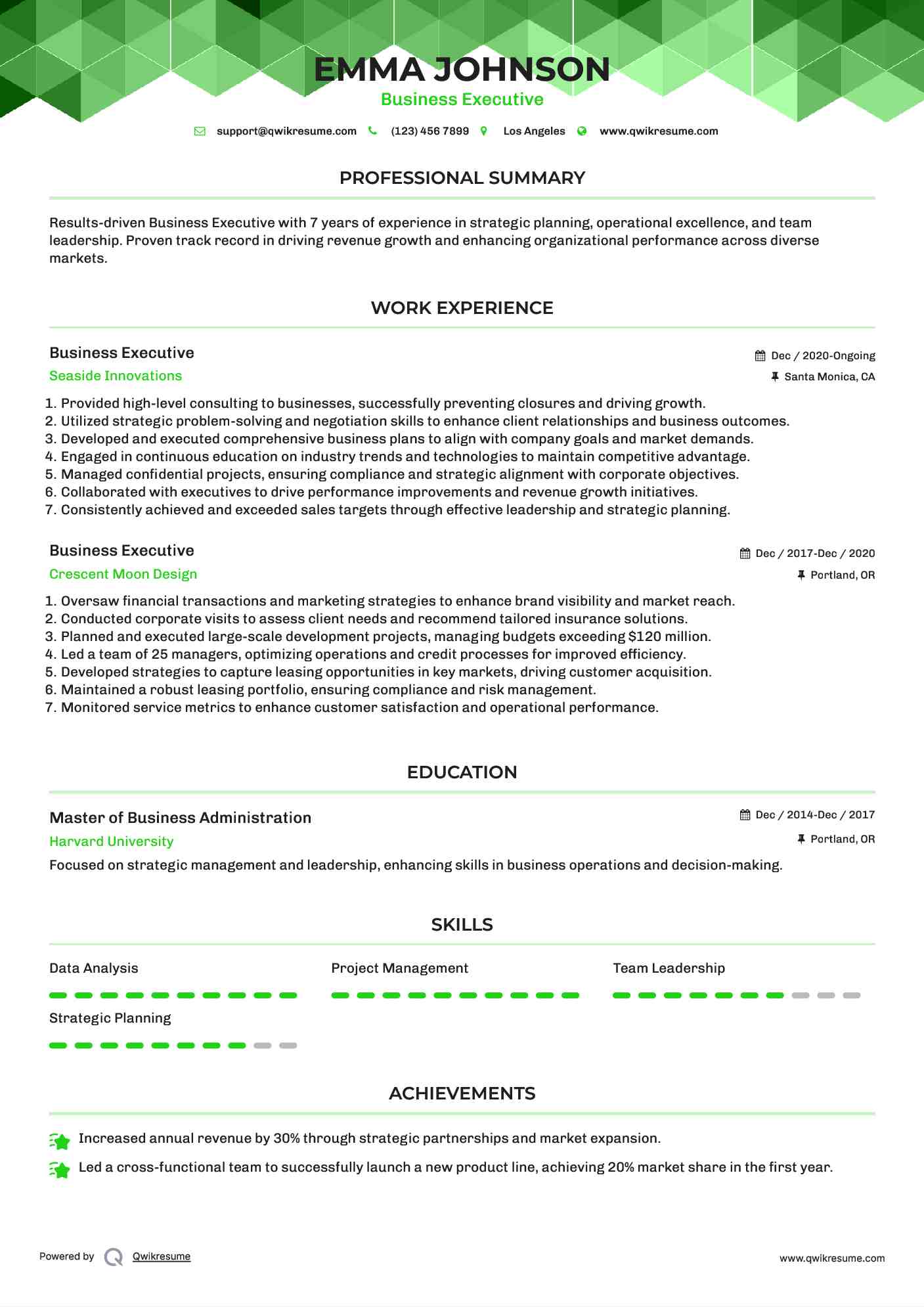 Business Executive Resume Sample