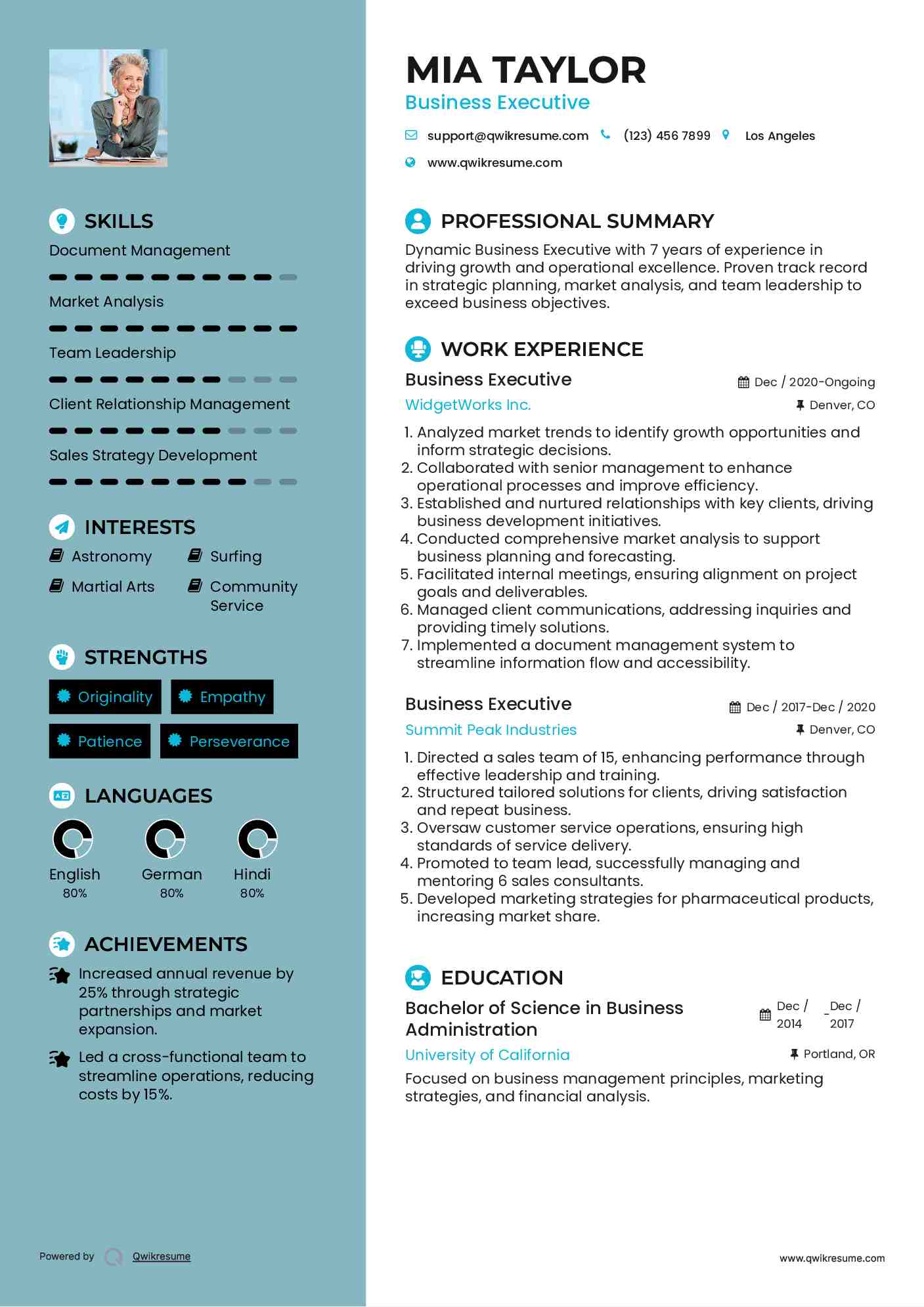 Business Executive Resume Example