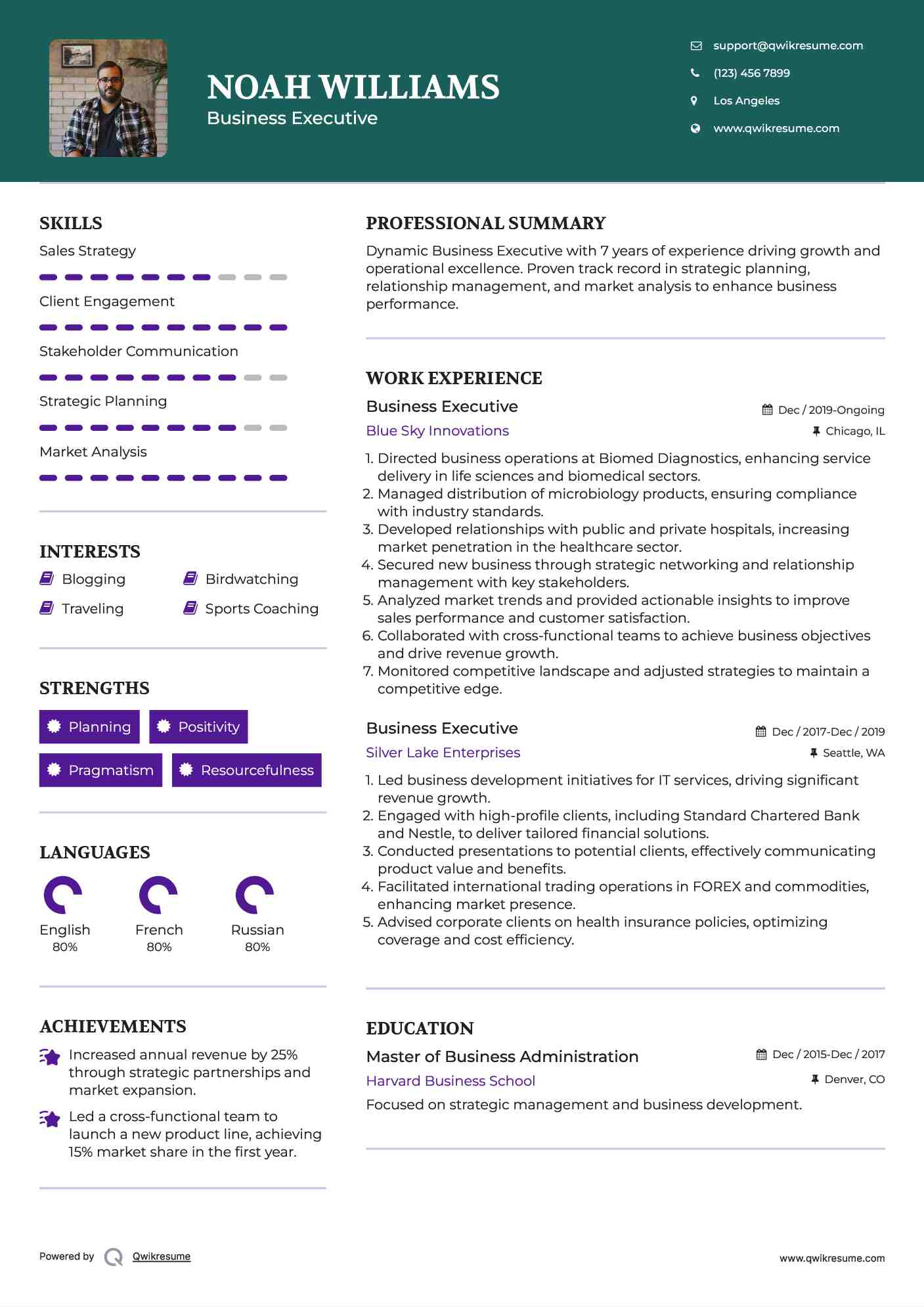 Business Executive Resume Example