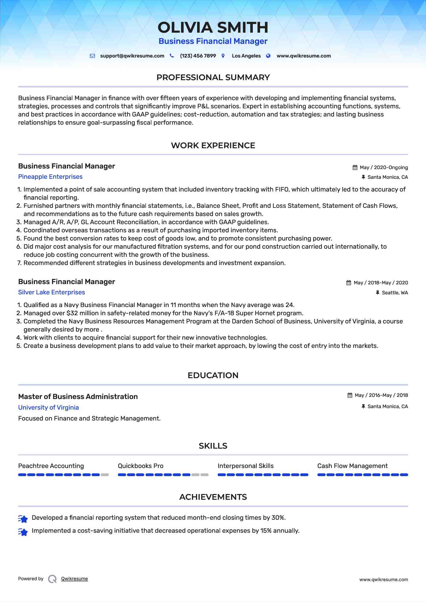 Business Financial Manager Resume Example