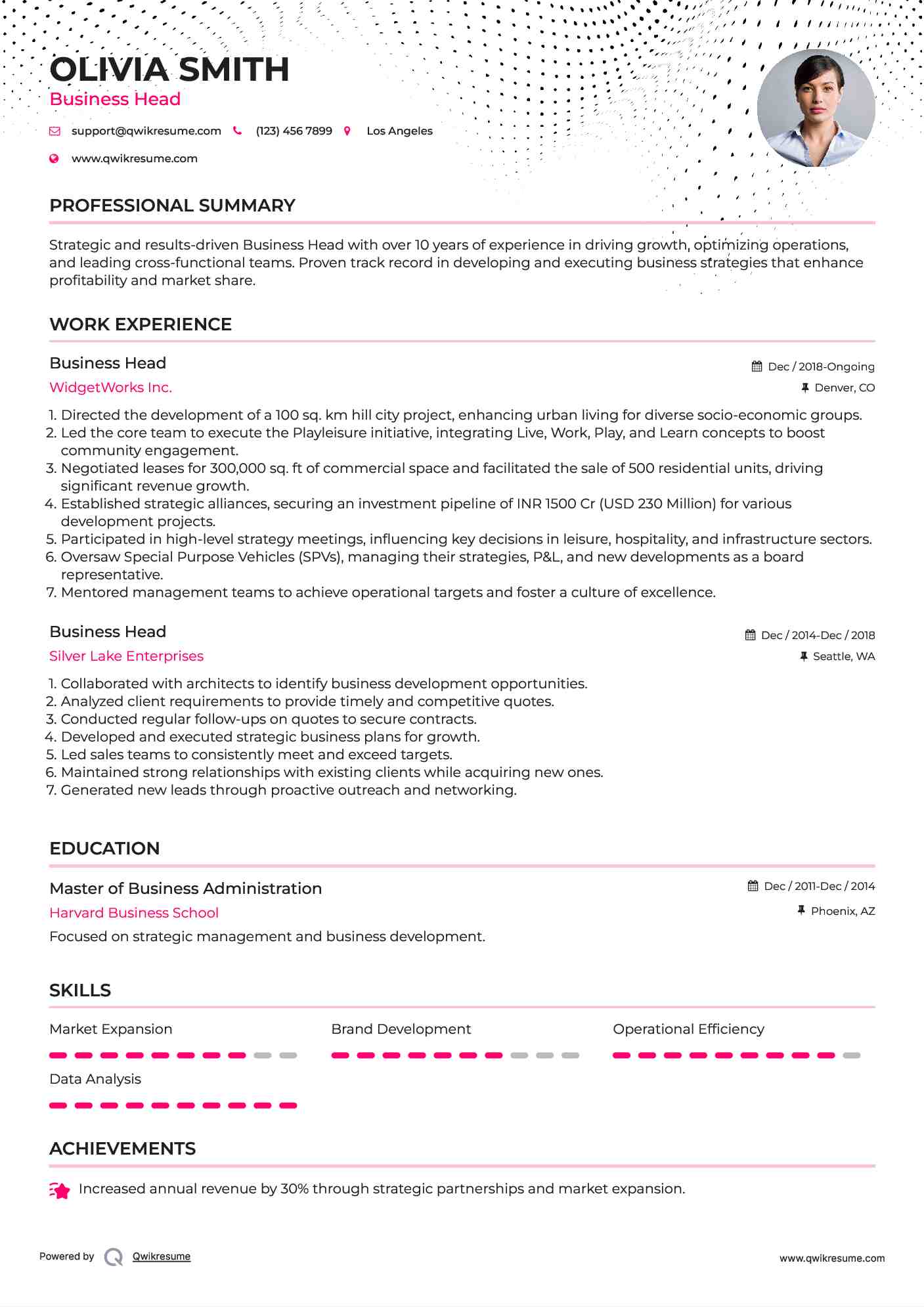 Business Head Resume Example