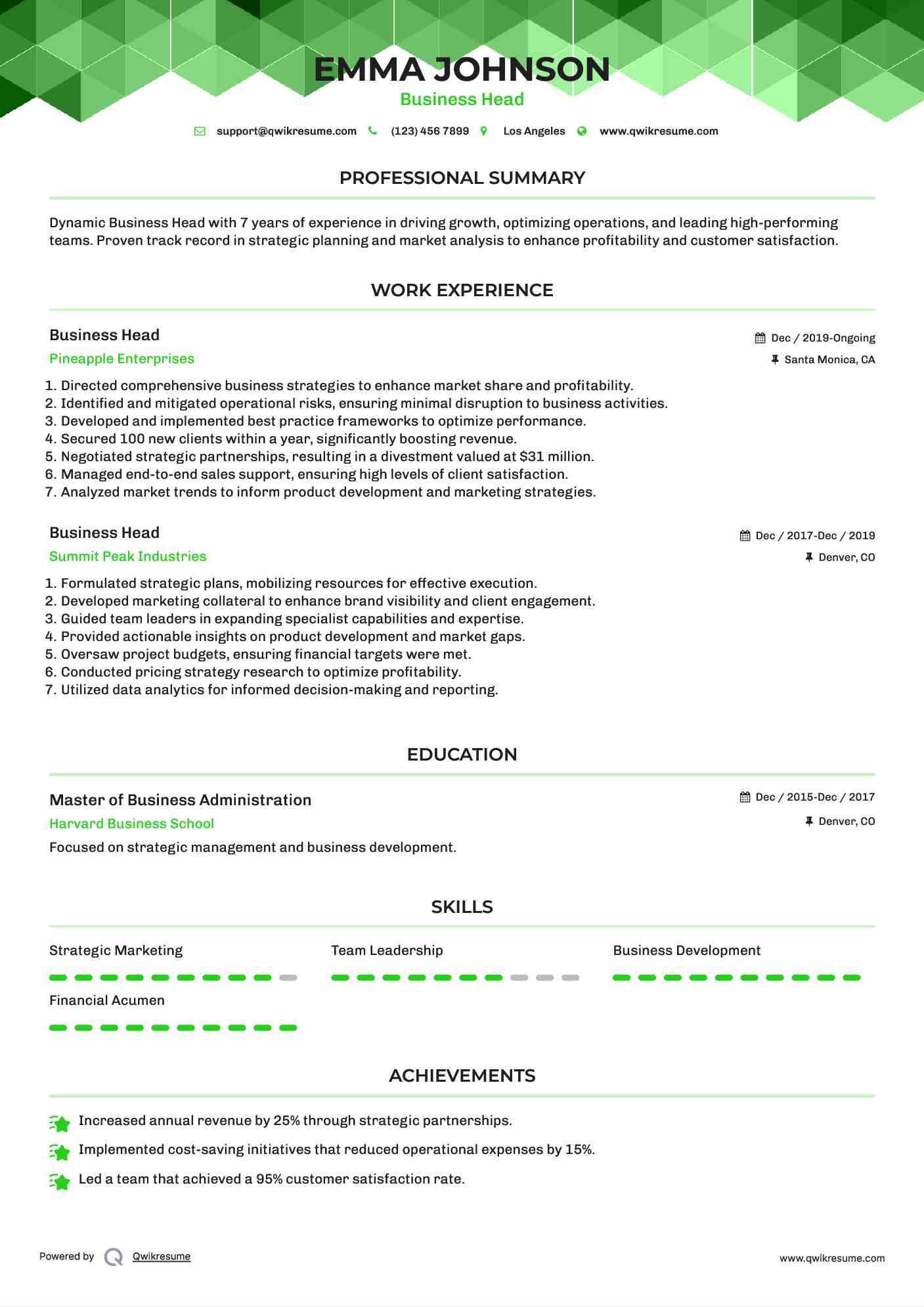 Business Head Resume Example