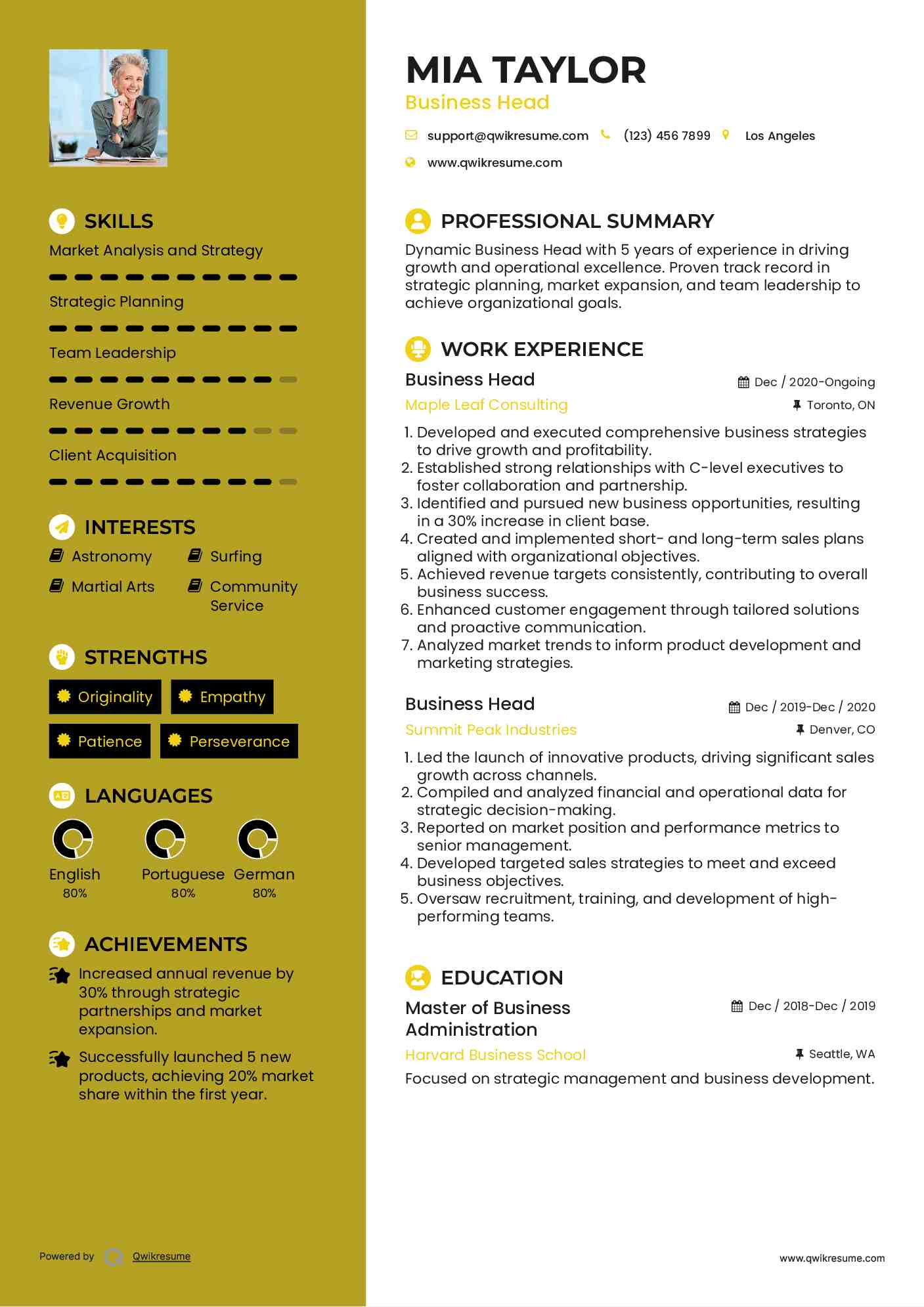 Business Head Resume Example