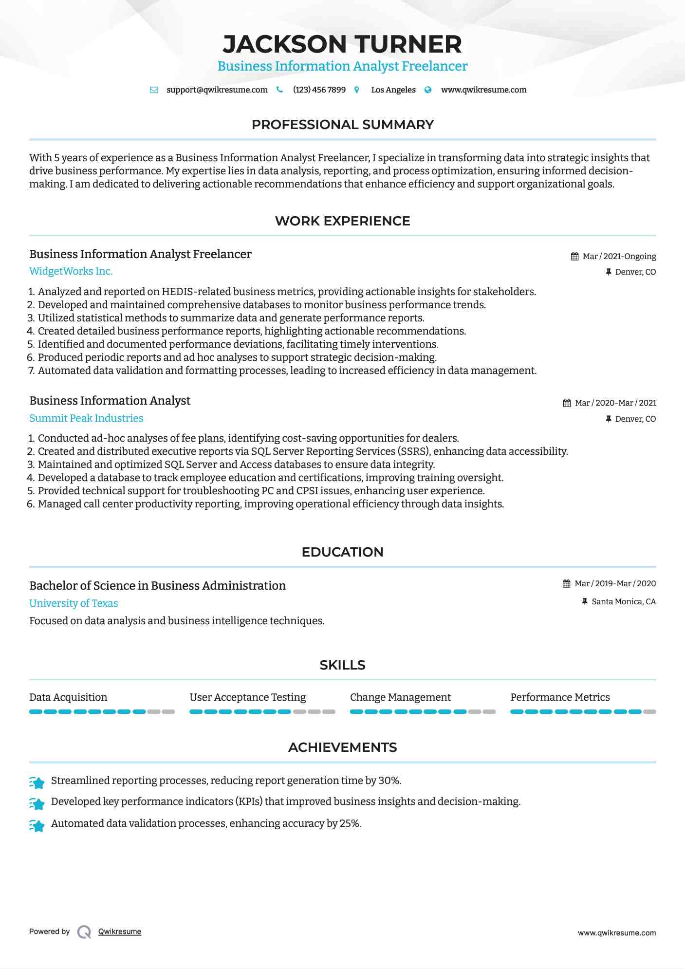 Business Information Analyst Freelancer Resume Format