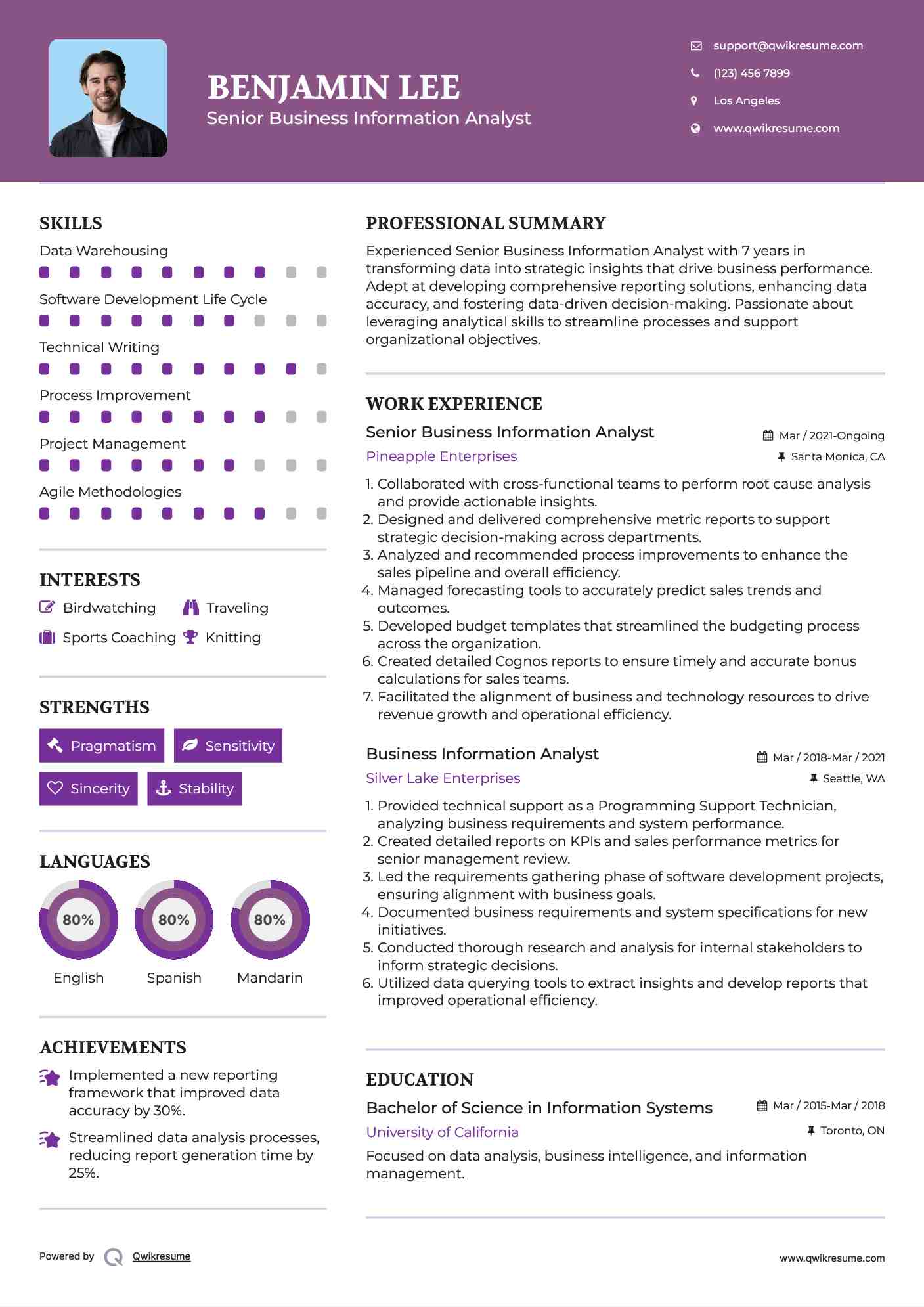 Senior Business Information Analyst Resume Model