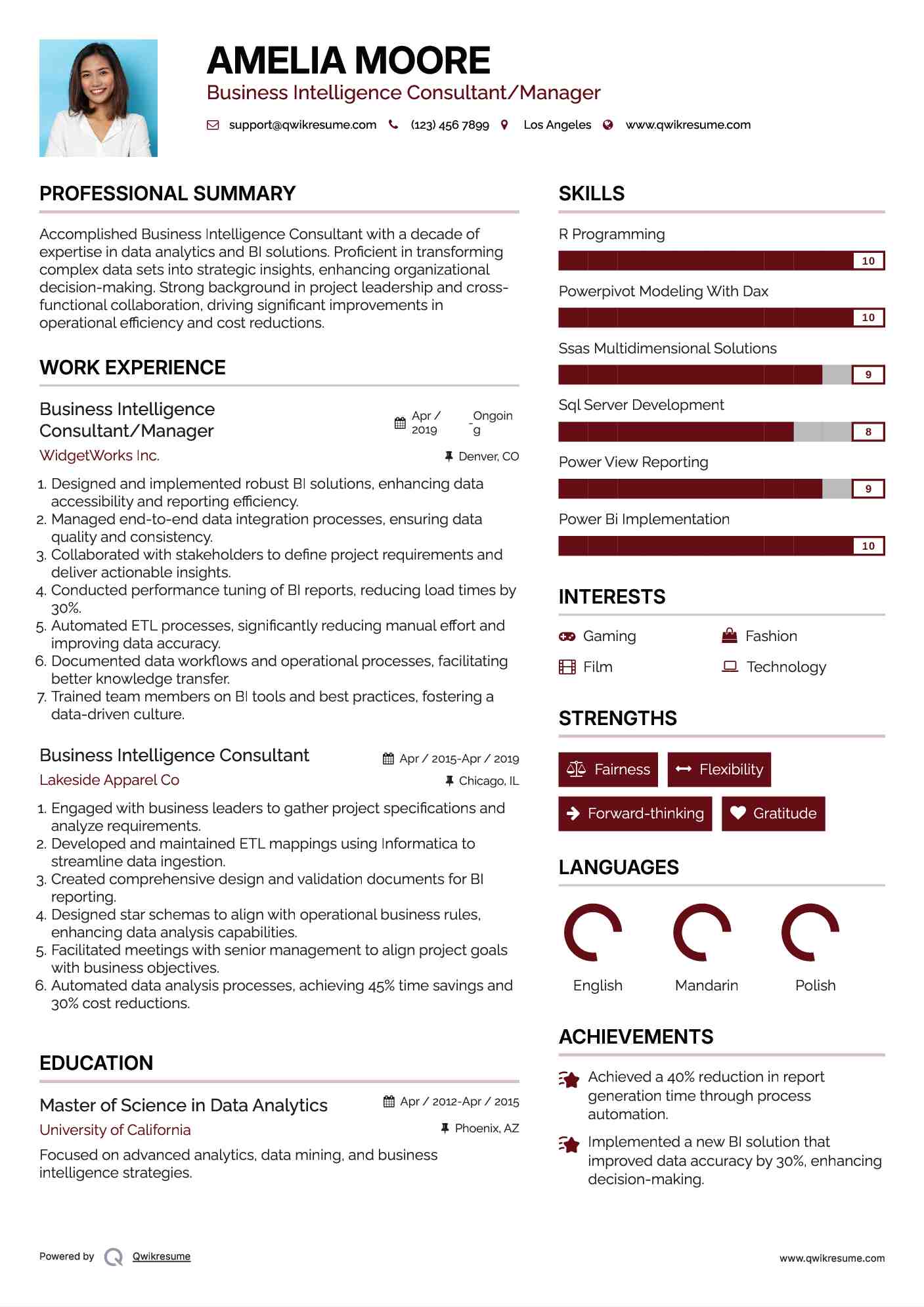 Business Intelligence Consultant/Manager Resume Template