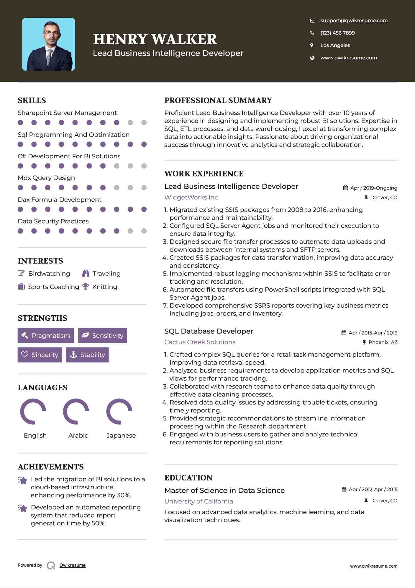 Business Intelligence Developer Resume Samples | QwikResume