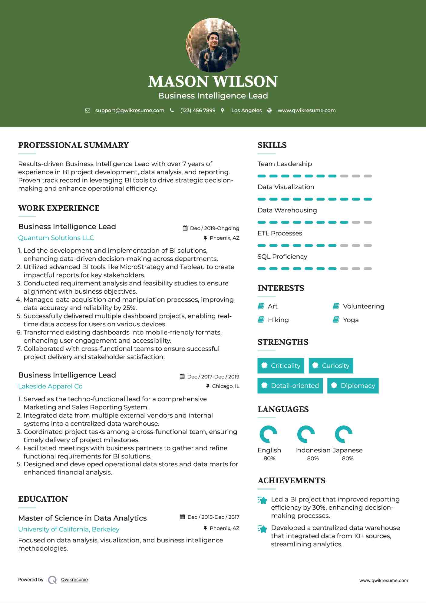 Business Intelligence Lead Resume Sample