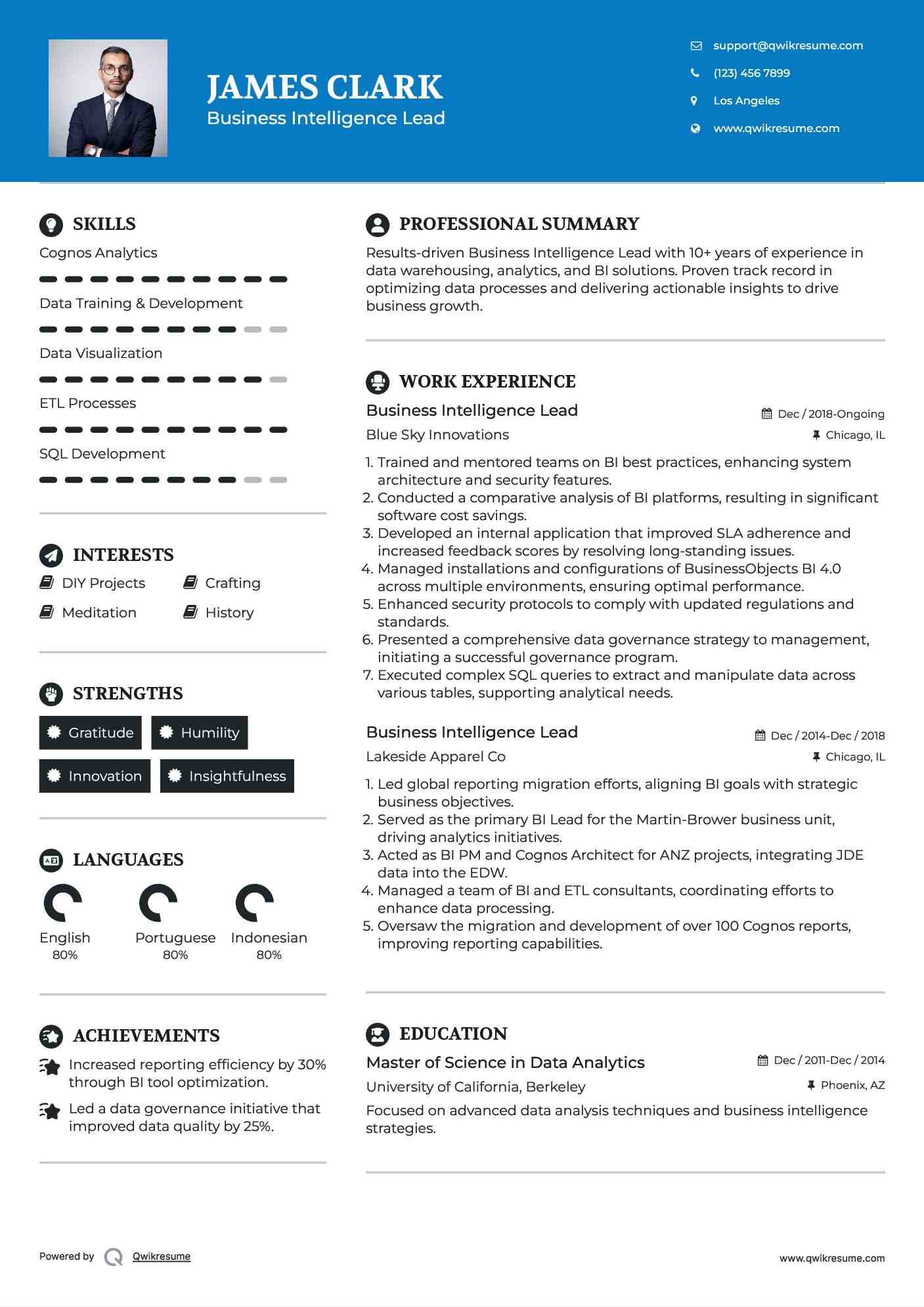 Business Intelligence Lead Resume Sample