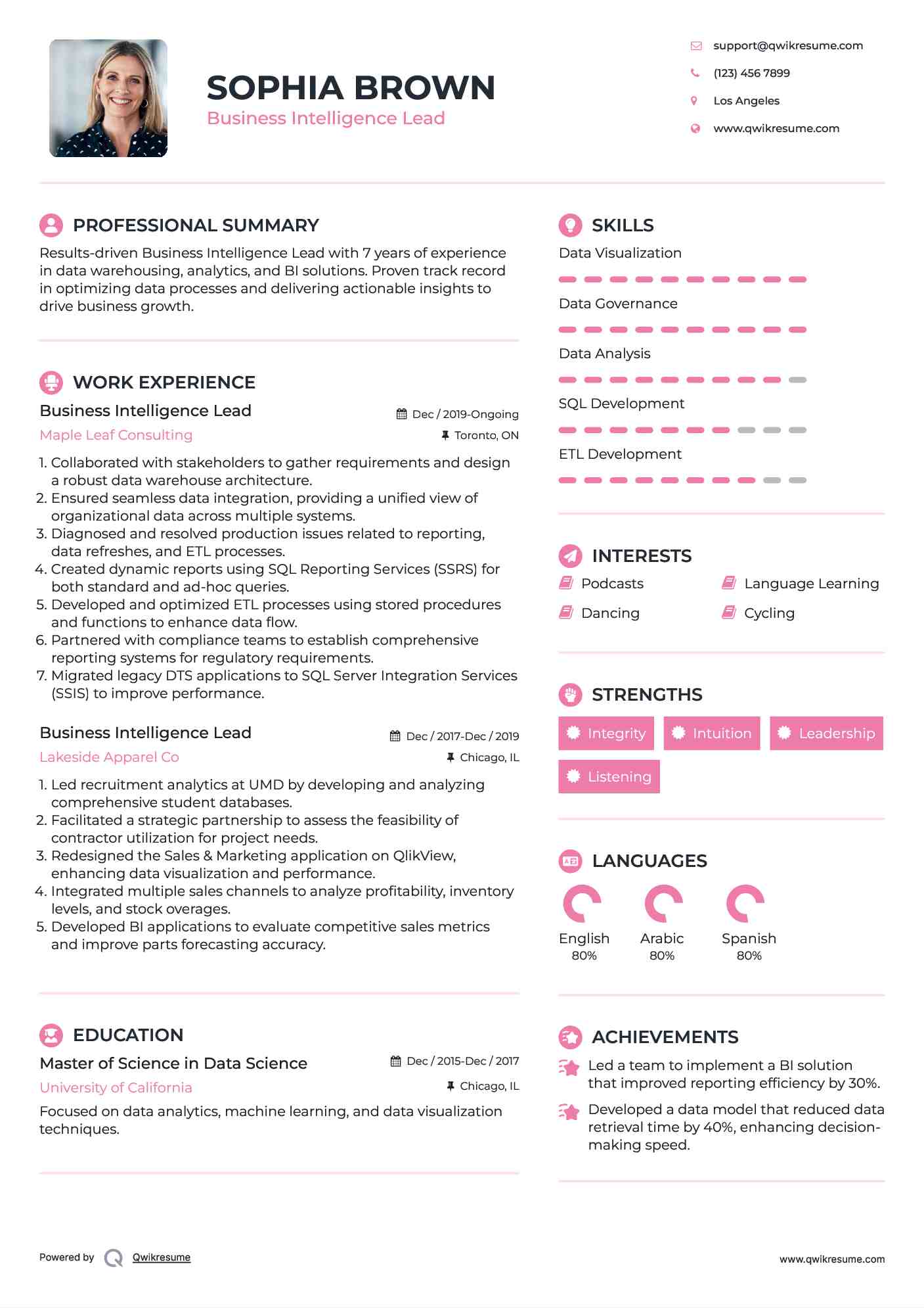 Business Intelligence Lead Resume Model
