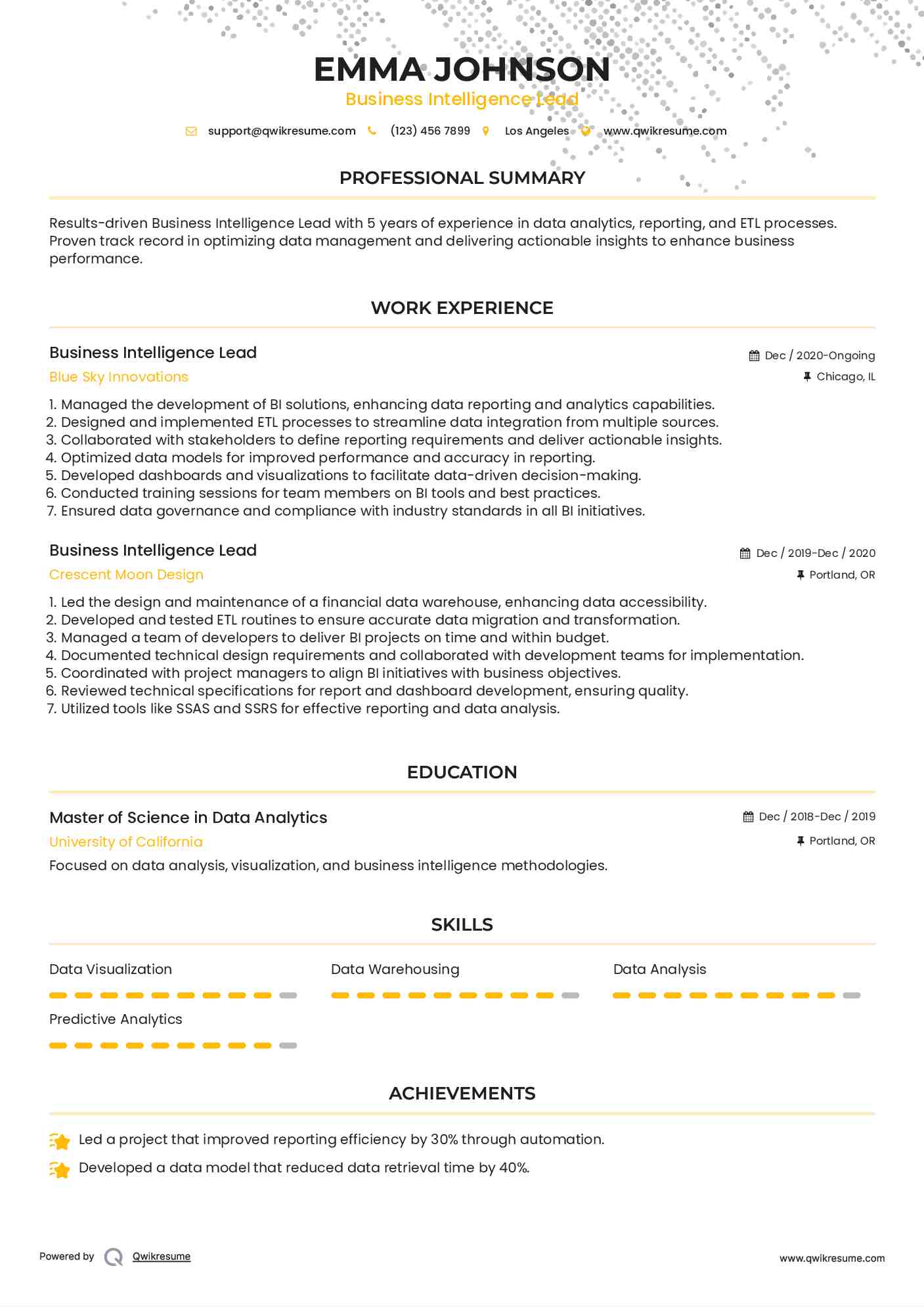 Business Intelligence Lead Resume Example