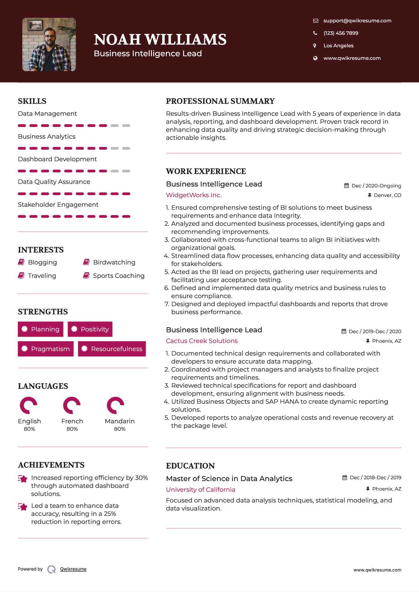Business Intelligence Lead Resume Format