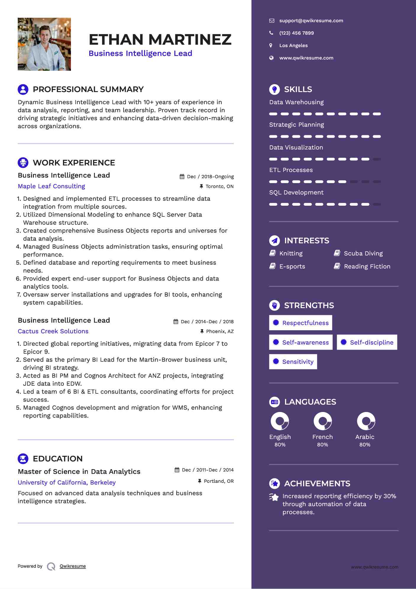Business Intelligence Lead Resume Format