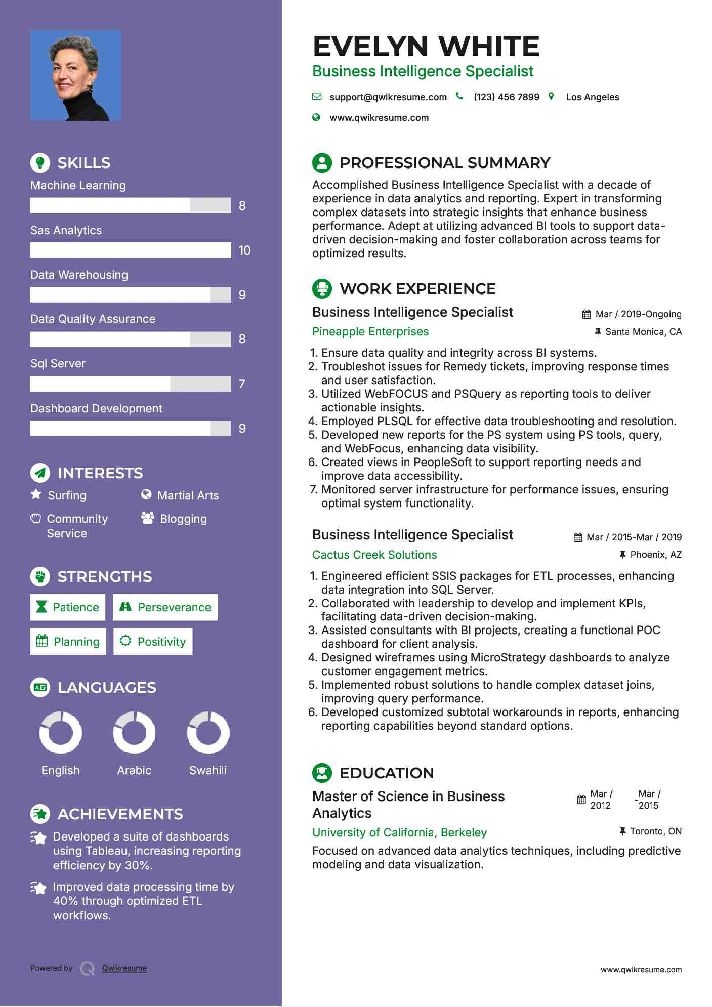 Business Intelligence Specialist Resume Template
