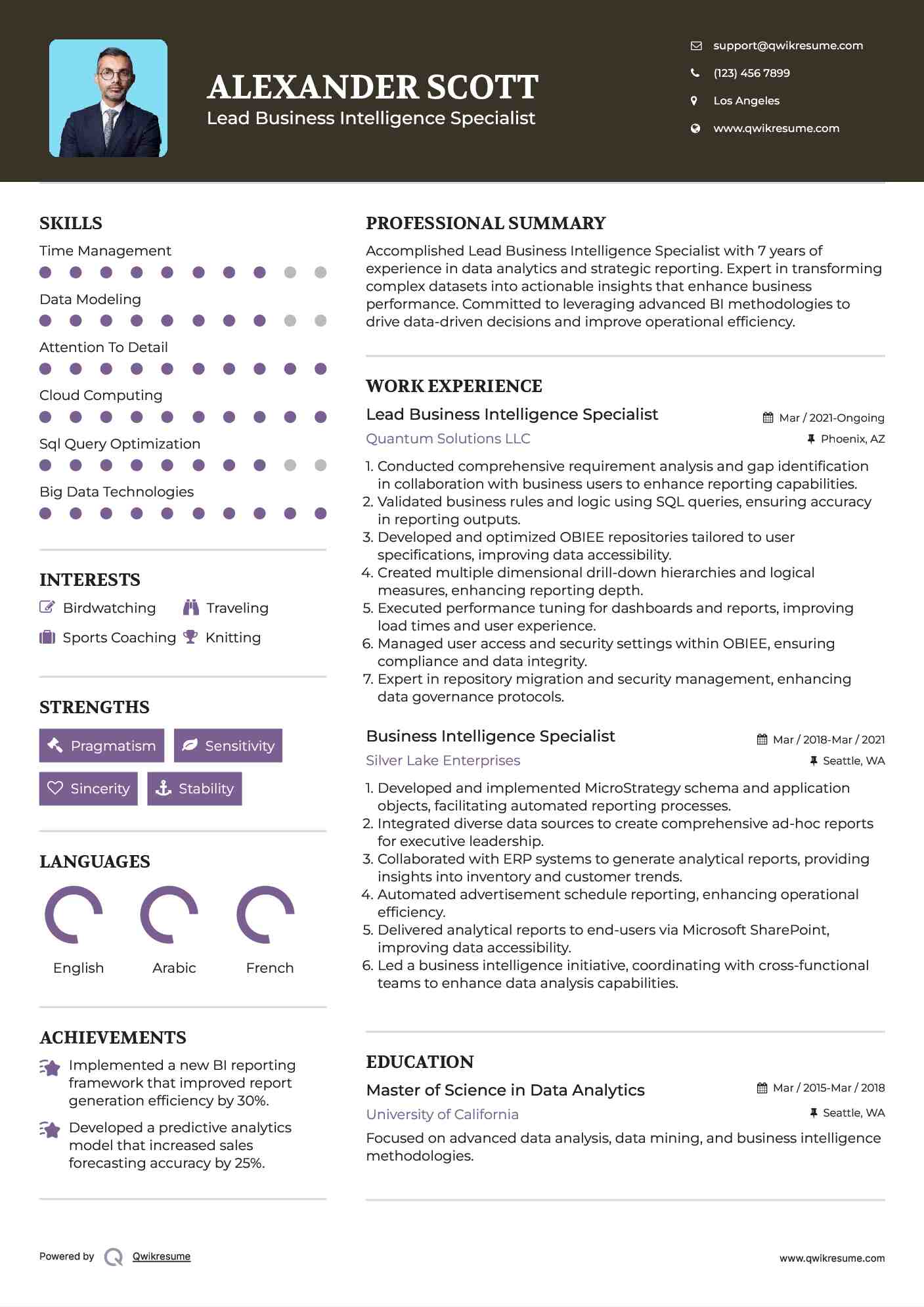 Lead Business Intelligence Specialist  Resume Example