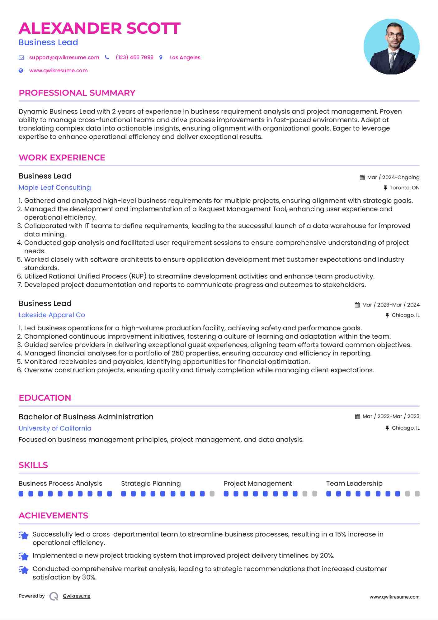 Business Lead Resume Example