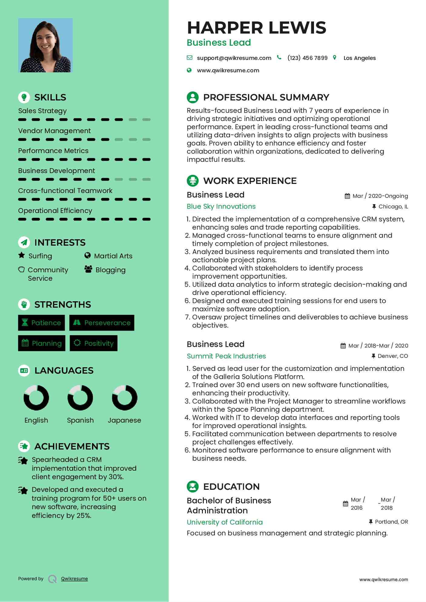 Business Lead Resume Model