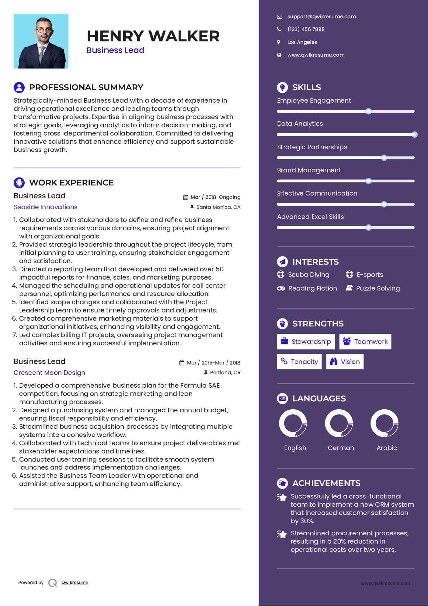 Business Lead Resume Model