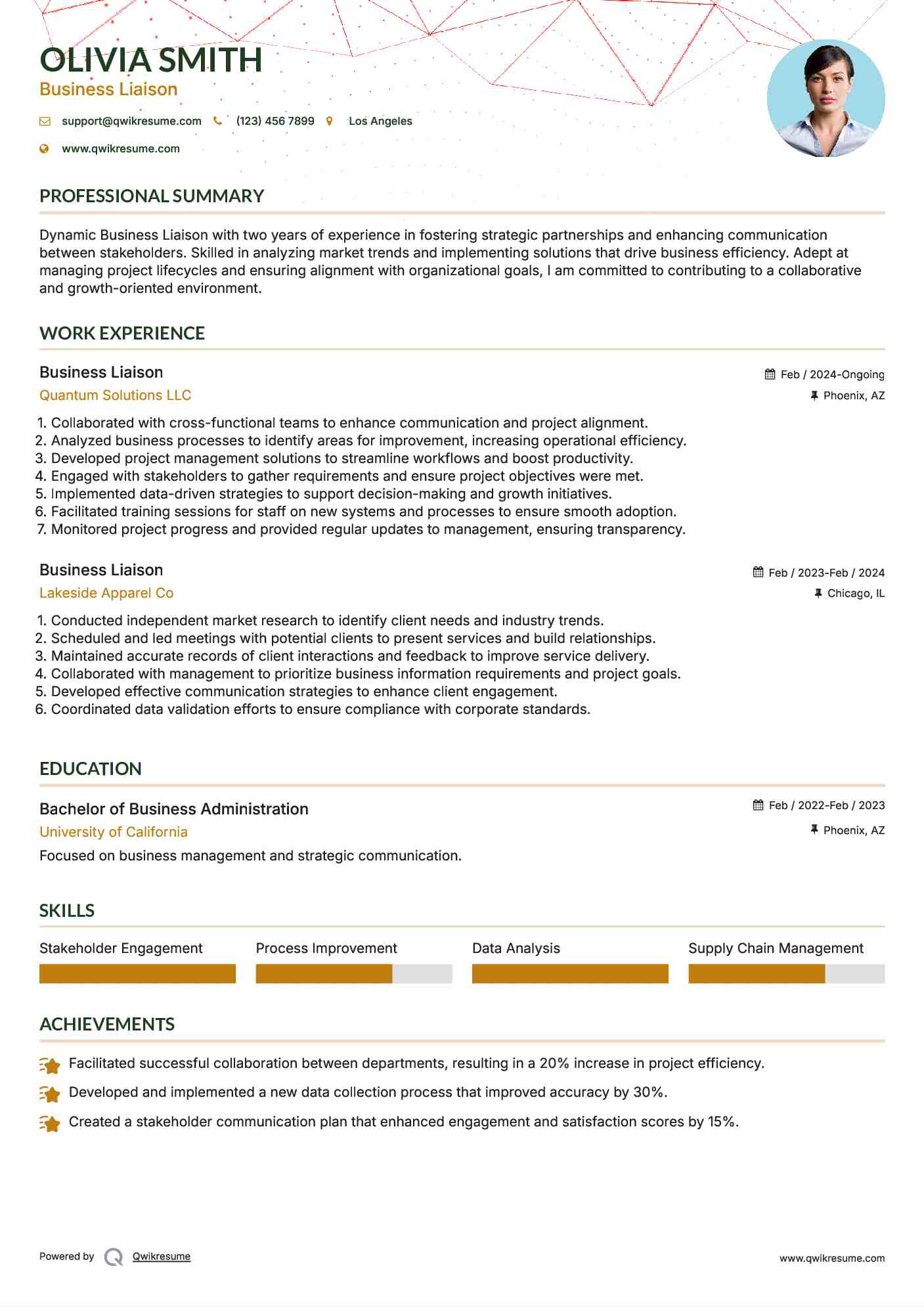 Business Liaison Resume Model
