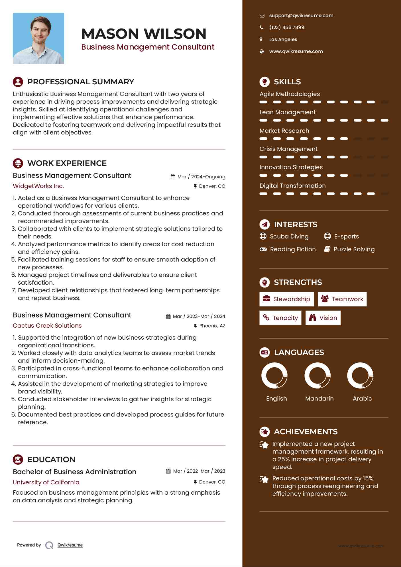 Business Management Consultant Resume Example