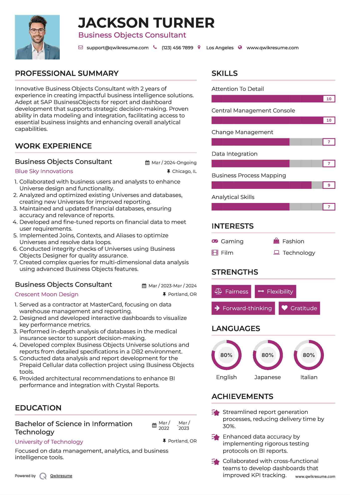 Business Objects Consultant Resume Example