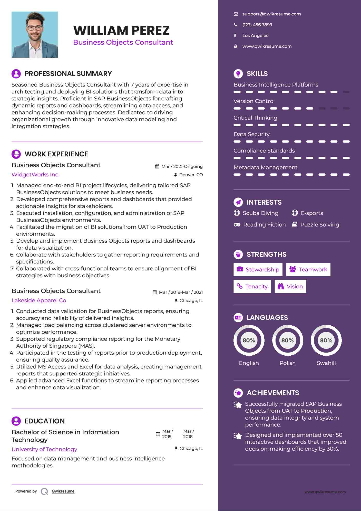 Business Objects Consultant Resume Example