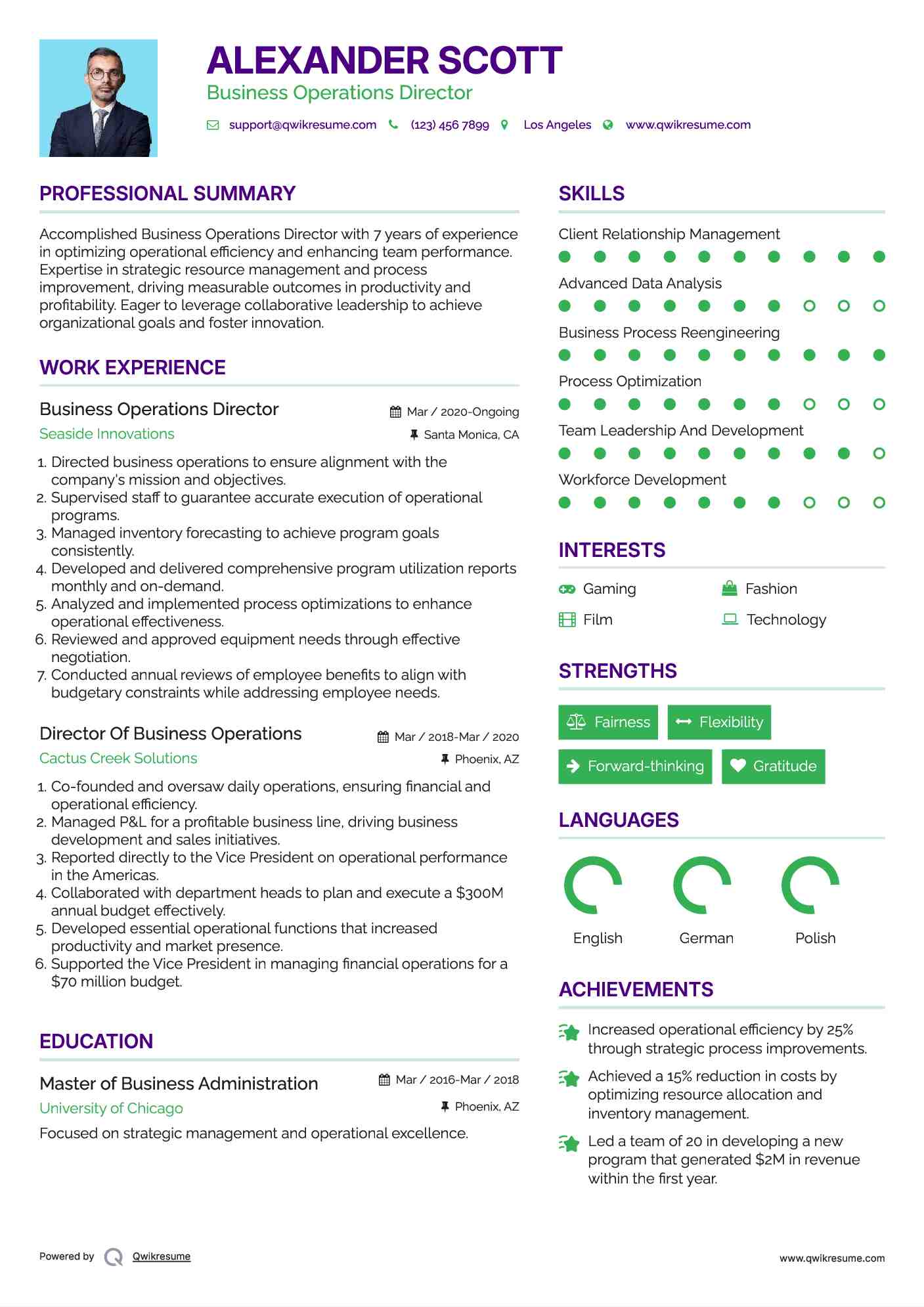 Business Operations Director Resume Model