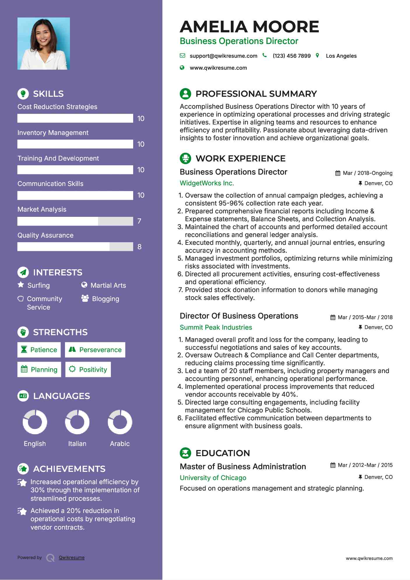 Business Operations Director Resume Sample