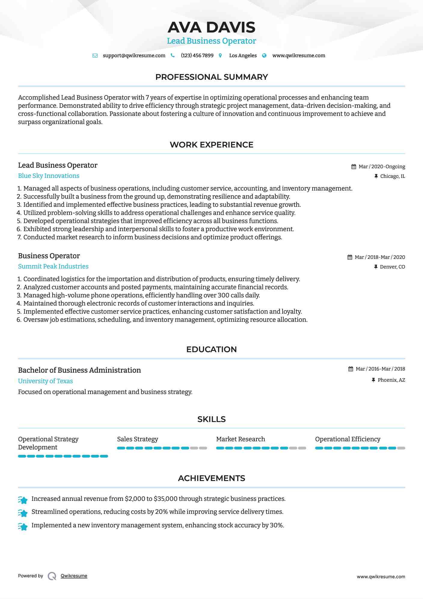 Lead Business Operator Resume Format
