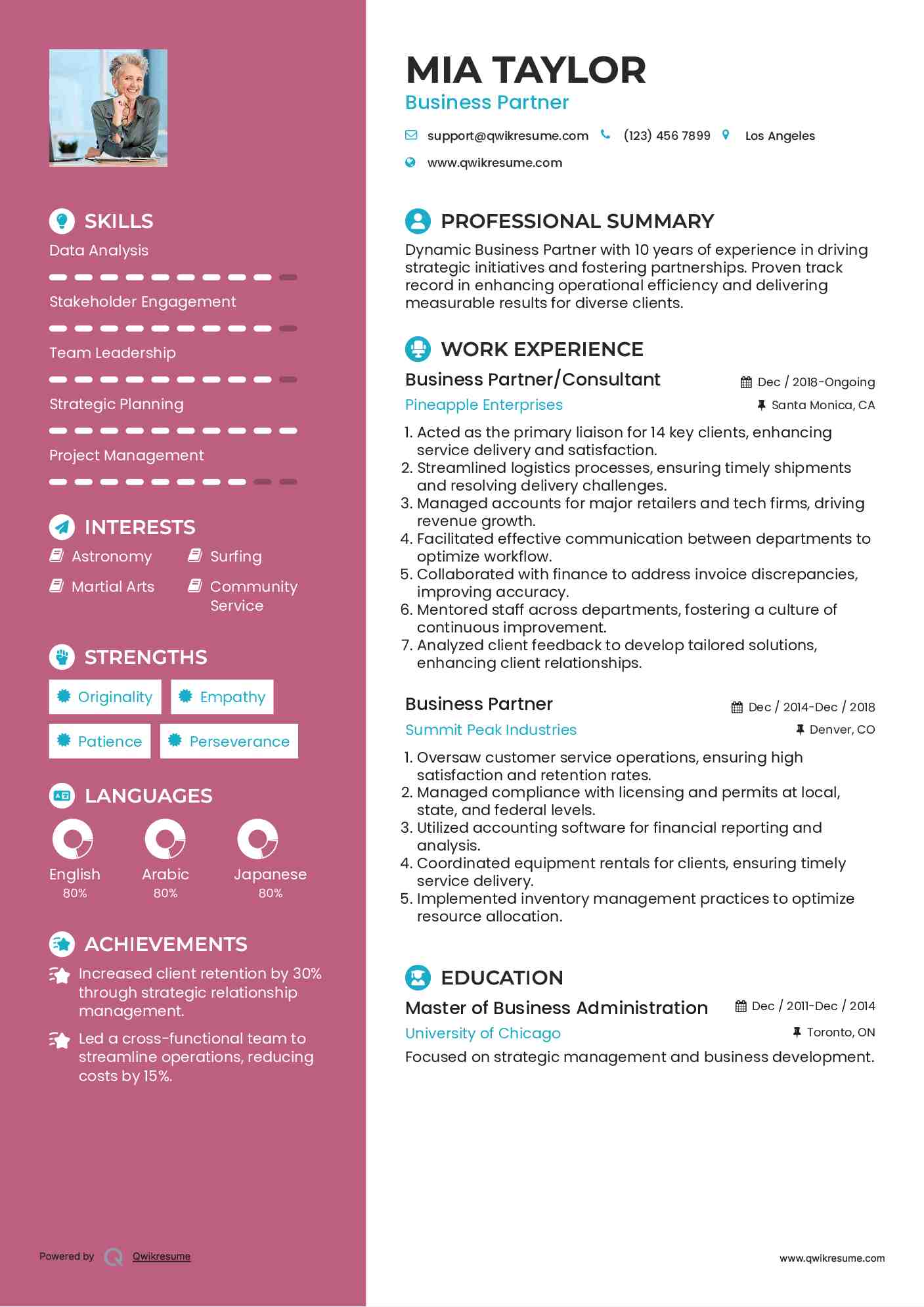 Business Partner/Consultant Resume Template